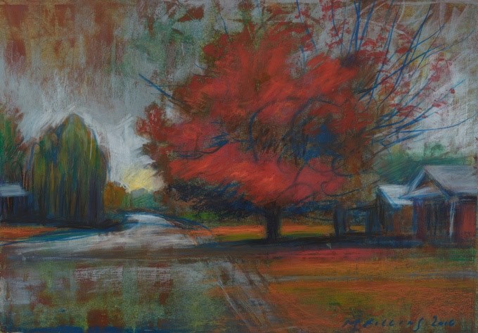 Martin Rollins, "Red Maple," oil pastel on paper, 10 1/2" x 15"