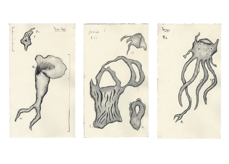 "Exploration #4" by Sarah Kinslow, 6x10in, monotype dry point print (2016)