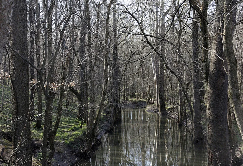 "Beals Run, Woodford County, KY" by Ed Lawrence, 19 x 13 in, inkjet print on archival matte paper (2016) $200 / $300 framed ( limited edition of 10) | BUY NOW
