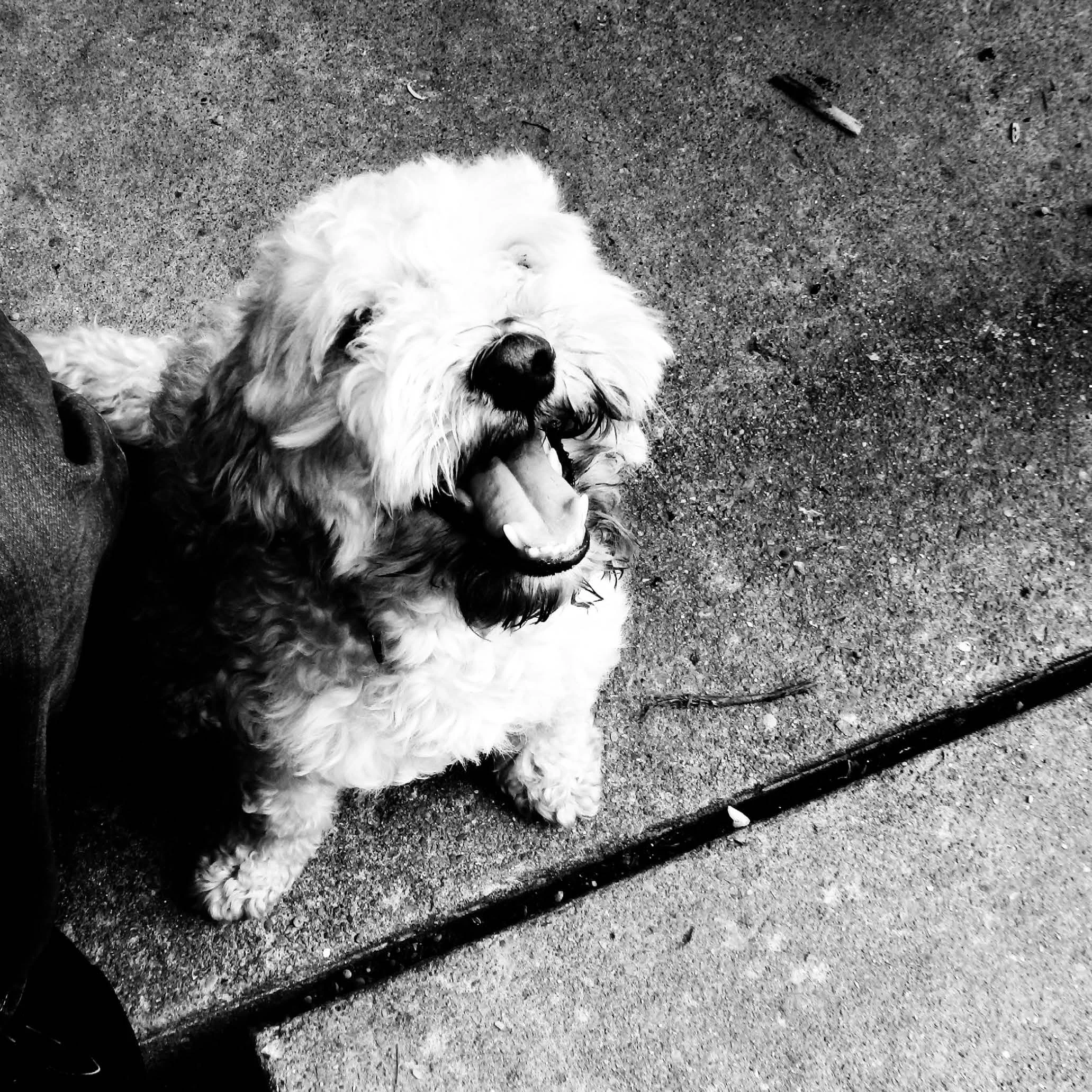 Baxter 2015 Book Images_Page_31.jpg