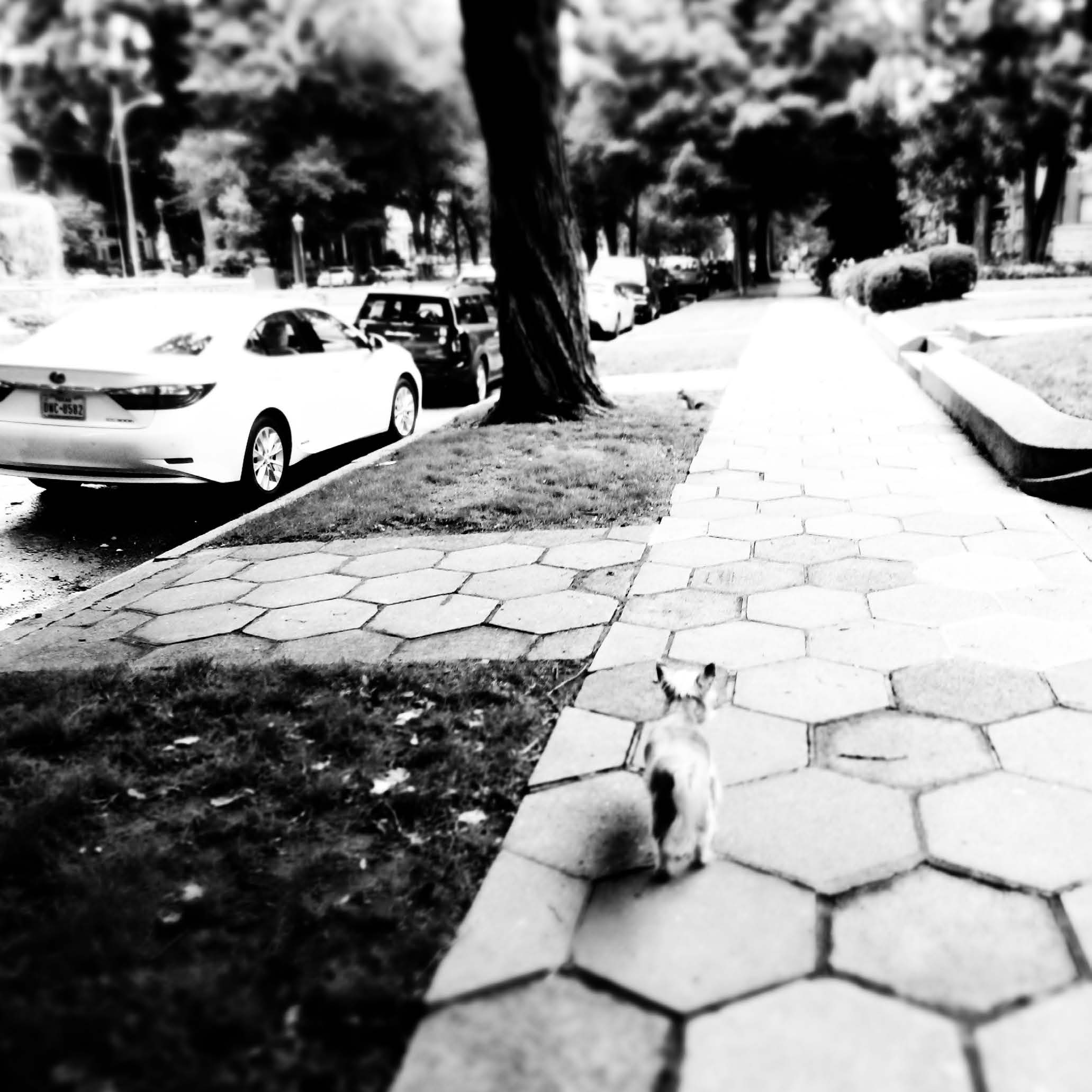 Baxter 2015 Book Images_Page_42.jpg