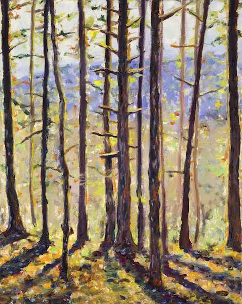 "March 29, 5pm" by Charlotte Pollock, 16x20in, oil on canvas (2016)