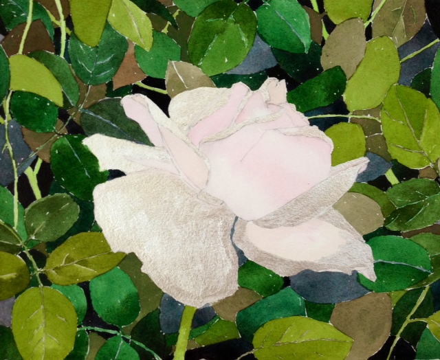 "Rose on Gerardia" by Gretchen Treitz, 10x12in, watercolor, silverleaf (2015)