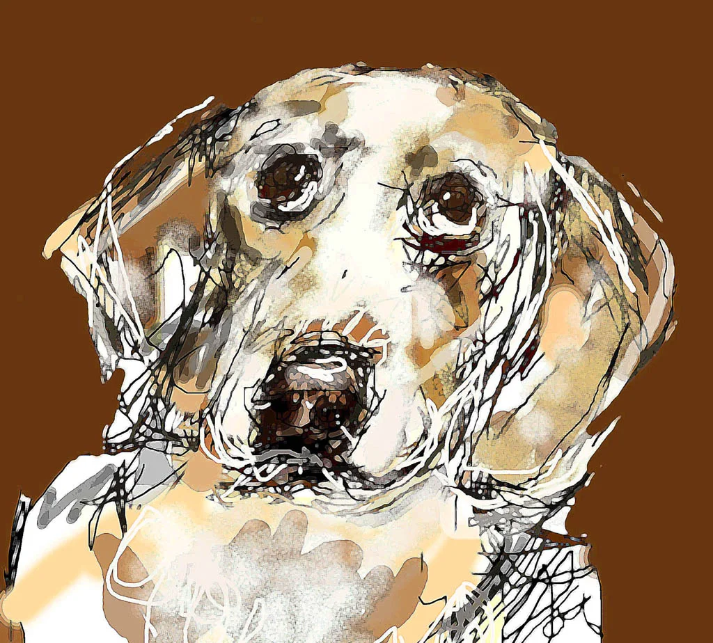 "Beagle" by Joyce Goldin, digital painting (2017)