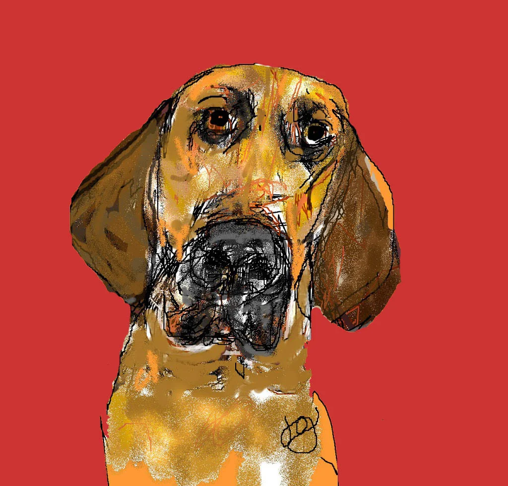 "Starr" by Joyce Goldin, digital painting (2000)