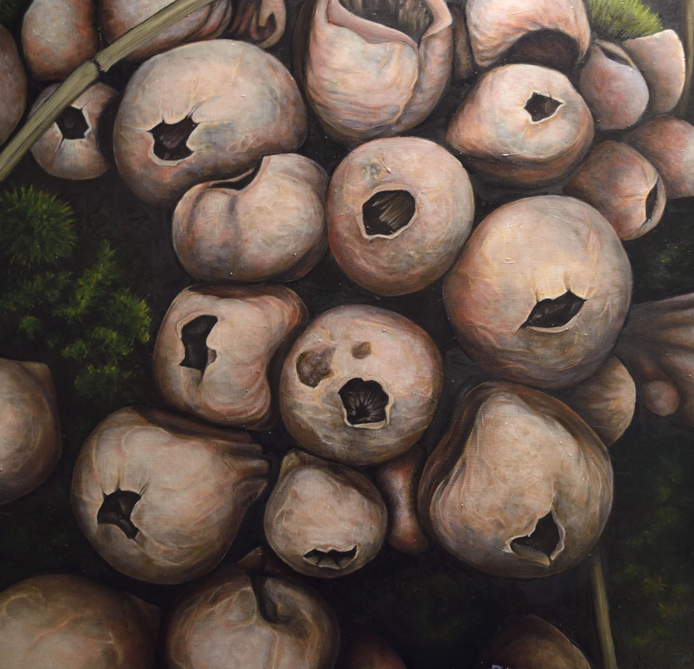 "Puff Ball Mushrooms" by Devan Horton, 24 x 24in, oil on panel (2017), $800 | BUY NOW