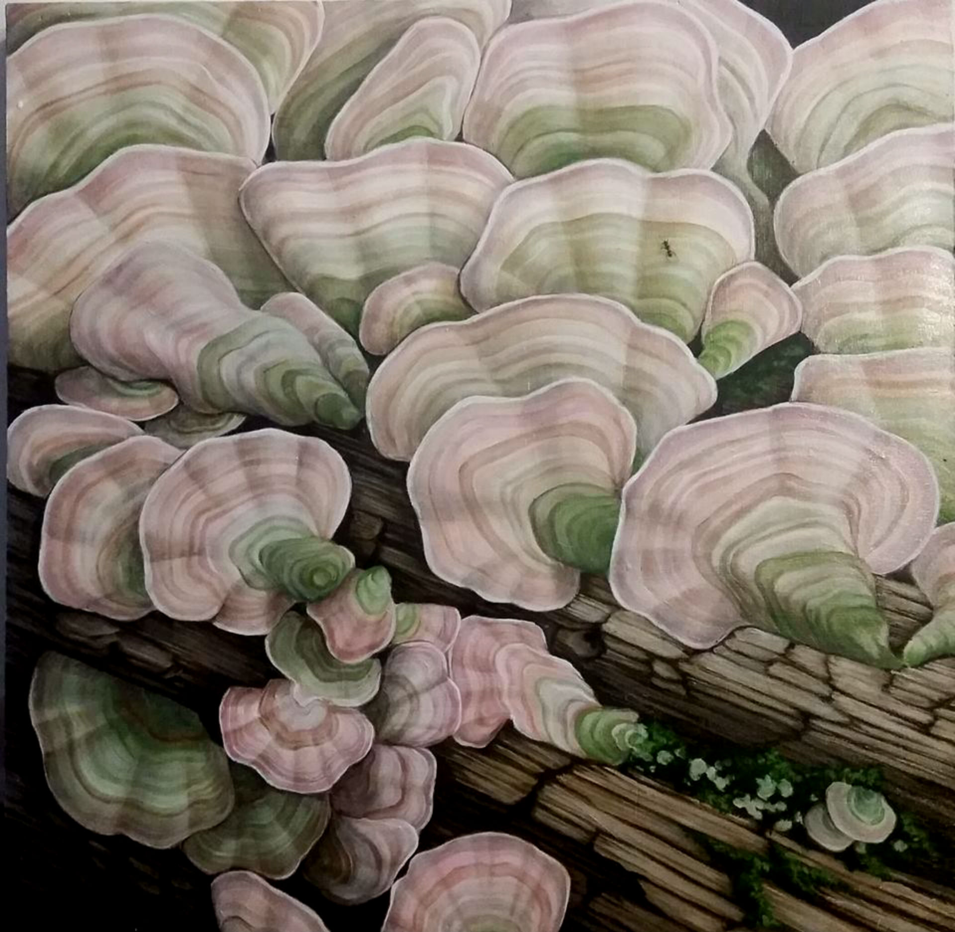 "Pink and Green Mushrooms" by Devan Horton, 24 x 24in, oil on panel (2017), $800 | BUY NOW
