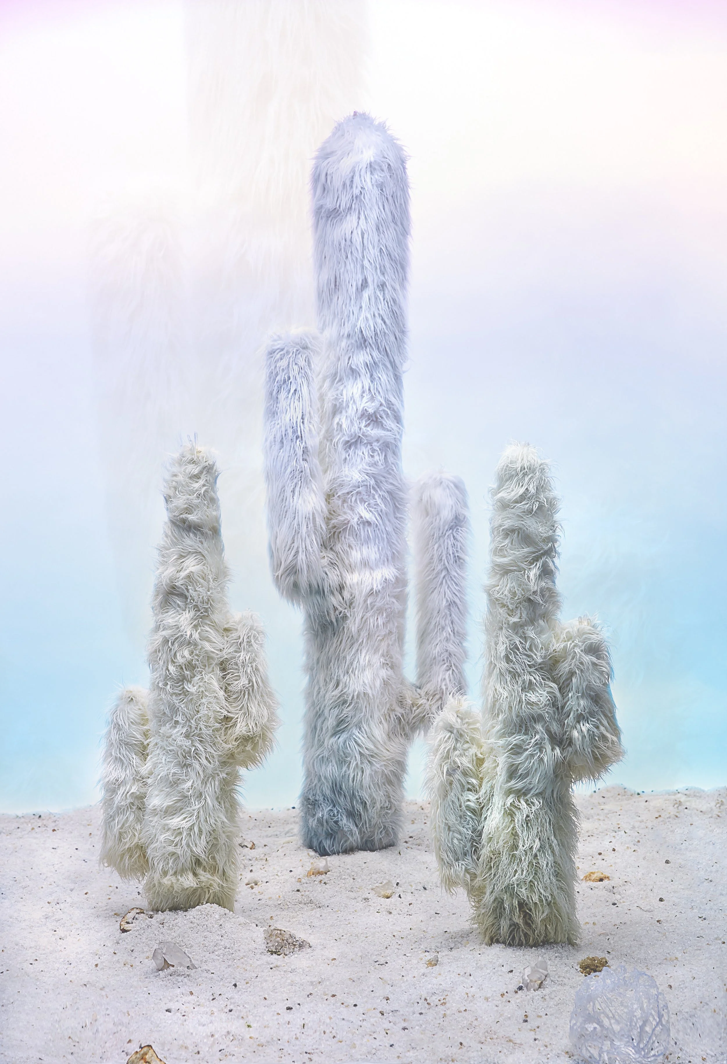 "Western Reverie" by Elizabeth Hardy, 2016-2017 The Bill Fischer Award for Visual Artists is a $5,000 cash prize designed to make a meaningful impact on the career of a visual artist residing in the Louisville Metro Area by providing support in the form of grants for the execution and exhibition of artwork and other efforts to foster a professional career as a visual artist. Recipients of the Fischer Prize must show a commitment to experimentation and the creative use of materials and techniques, and a commitment to pursuing a career as a professional working visual artist. "My work seeks to stir nostalgia for the primordial past and sublime in nature, via romantic collaborations with the natural world," says 2018 winner Elizabeth Hardy . "Whether through carving marble (a material consisting of interlocking crystals made by generations of petrified tiny creatures slowly compressed by gravity at the bottom of a primordial sea), or through growing crystals as surface treatment, the role of natural phenomena as process is consistently present in sculptural works and installations". Hardy adds, "Beyond my attraction to such processes that emphasize time passage - translating ephemeral makings into enduring works that can speak to our past and present for years to come - I am interested in producing work that honors the legacy of classic sculptural techniques which stand the test of time, married with a contemporary experimental style that defies convention." Hardy plans to use her prize money "to provide a suitable environment with tools to establish a space to be able to create works on a larger scale than I am physically capable of doing with the restrictions of my current studio space. I could expand my practice for my own productions as well as have a proper venue to function as a learning environment that I could share the techniques I have learned with others." A reception to present the award to Hardy will be held on Tuesday, January 9 from 5-6 p.m. at the Tim Faulkner Gallery , 1512 Portland Avenue , adjacent to LVA's office in Portland. The event is open to the public. The Bill Fischer Award for Visual Artists is funded by the Artist Bill Fischer Foundation for Working Artists at the Community Foundation of Louisville . Louisville Visual Art serves as the administrative partner to the project and competition process.