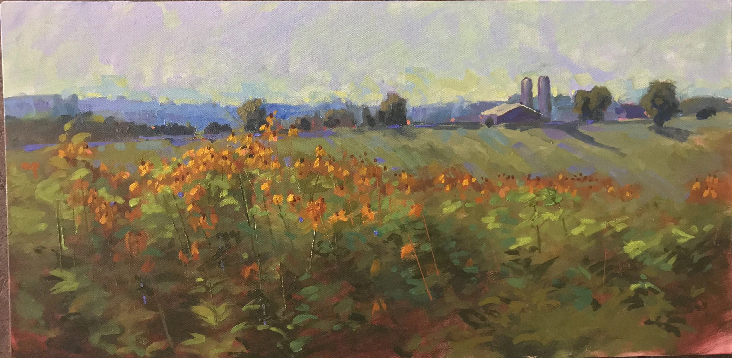 "Black Eyed Susans" by Lynn Dunbar Bayus, Oil on canvas, 12x24in, 2018, POR