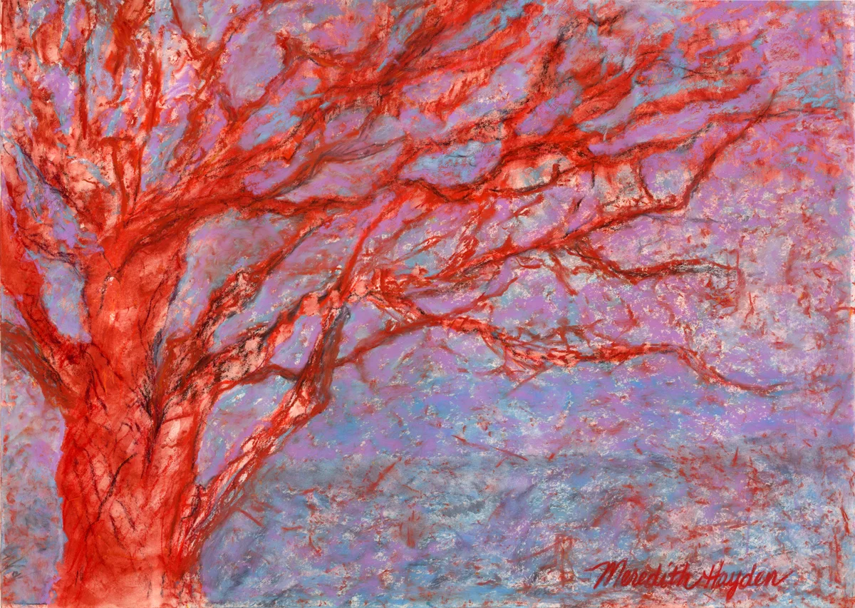 “Mystic Branches” by Meredith Hayden, Chalk Pastel and water on sanded paper, 30x24in, 2014, $750