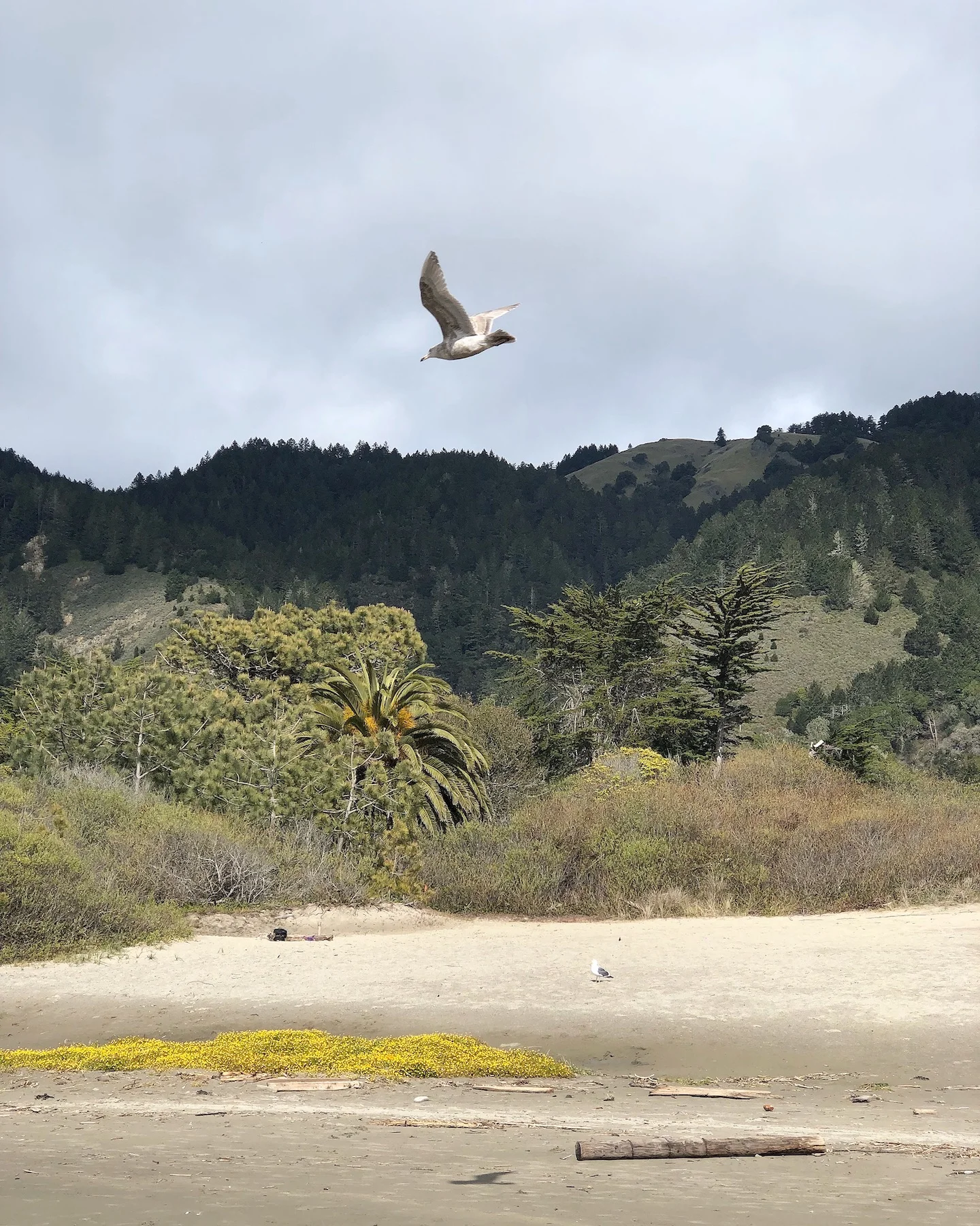“Stinson” by John Brooks, 8x10in, Digital photograph, 2018, $250 (edition of 5)