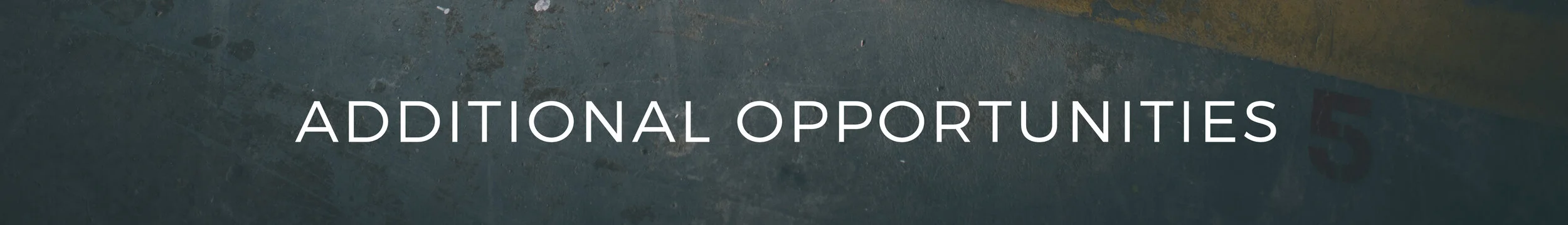additional-opp.jpg