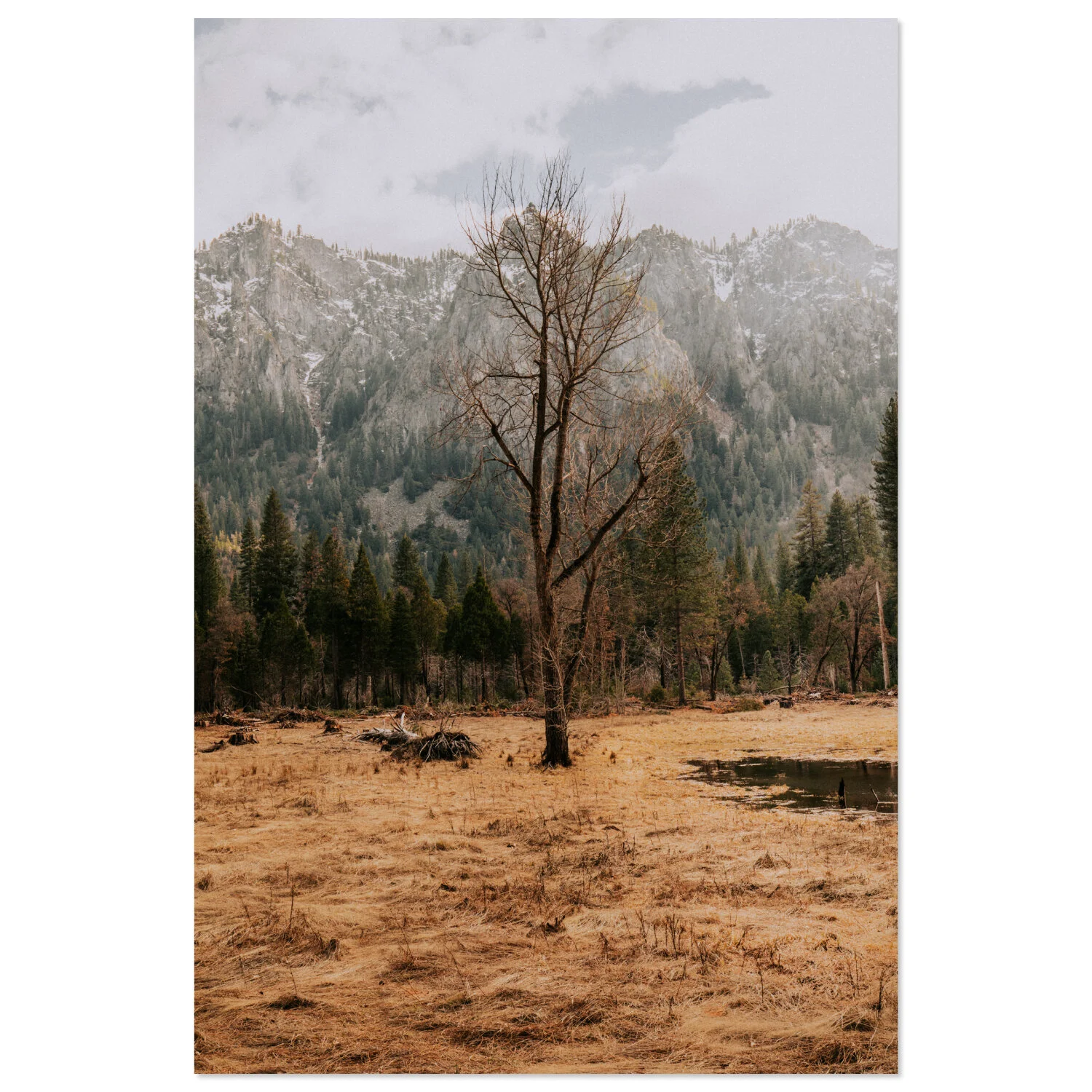 Yosemite - 08 * téléchargeable