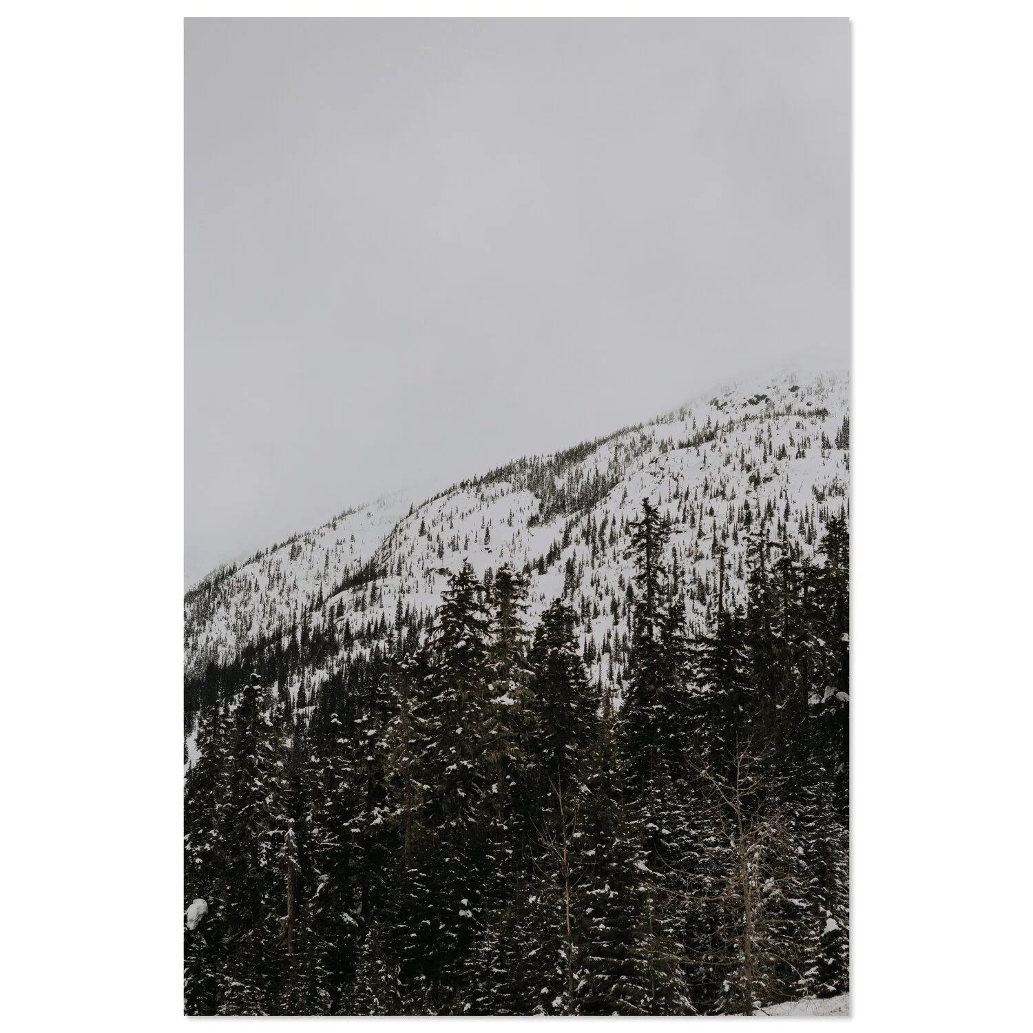 Pemberton - 02 * téléchargeable