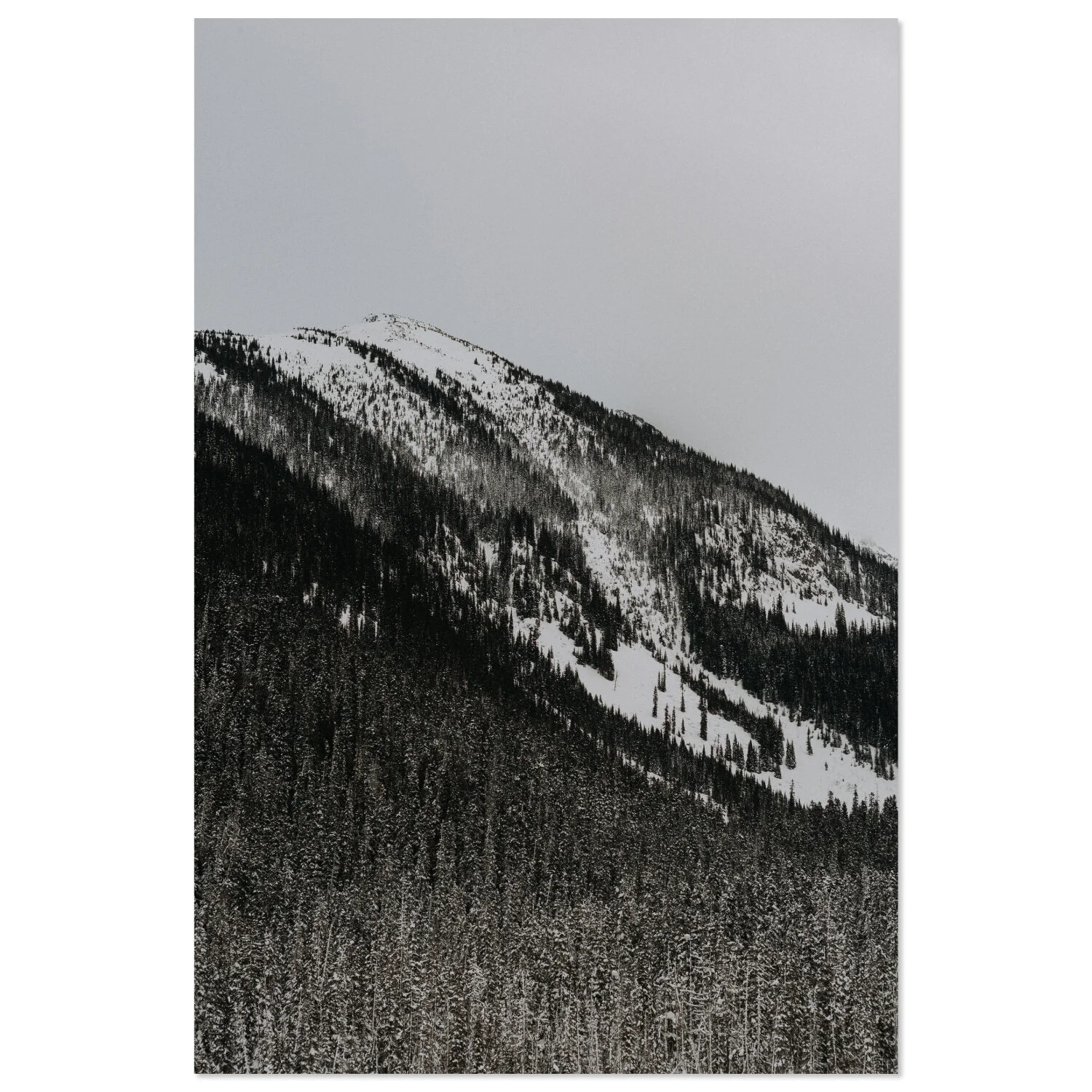 Pemberton - 05 * téléchargeable