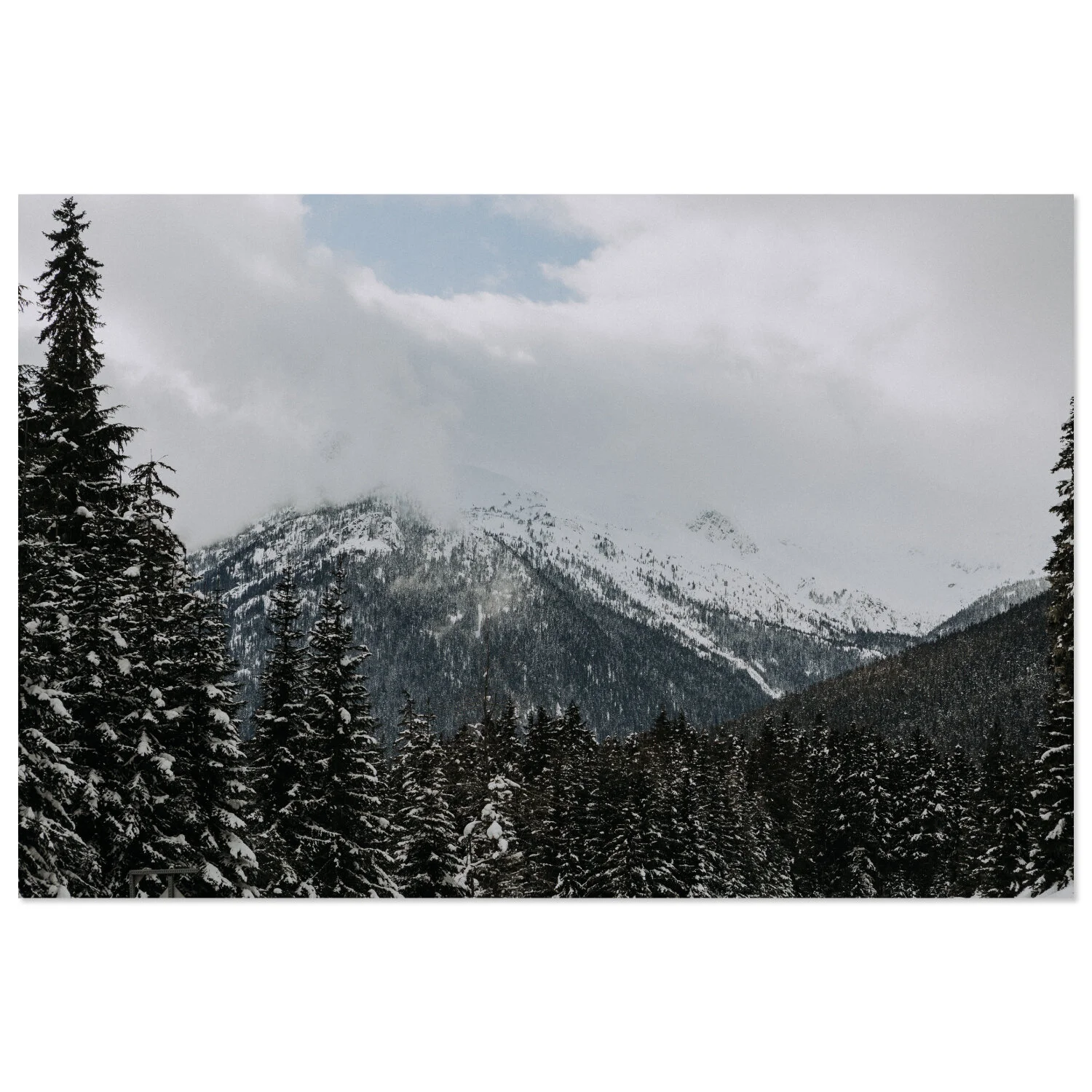 Pemberton - 08 * téléchargeable