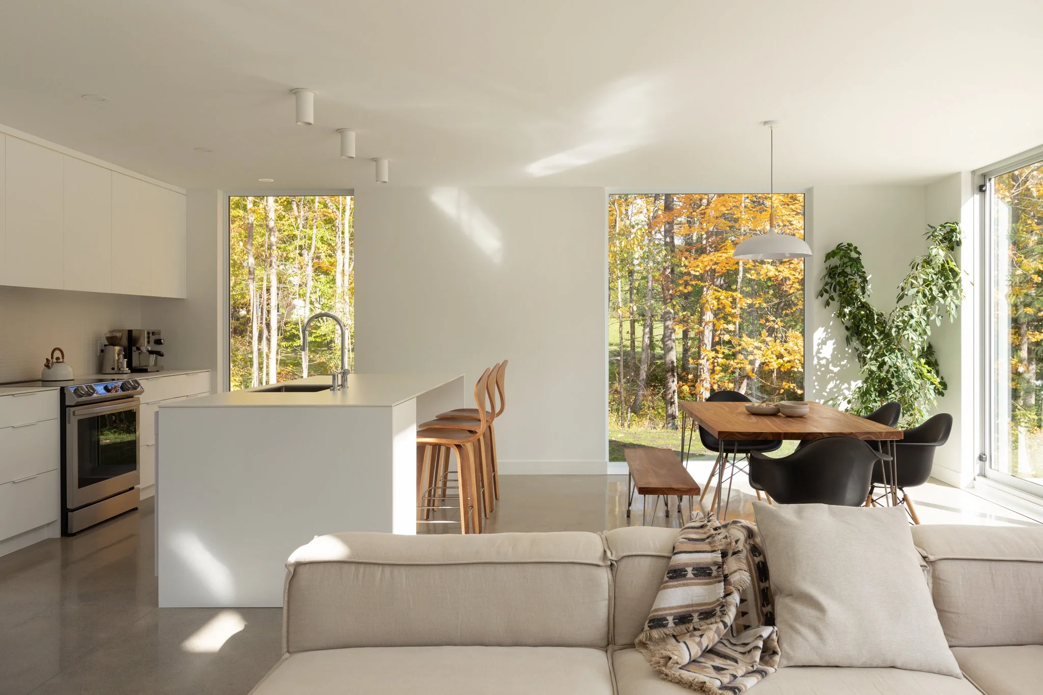 Écohabitations Boréales Inc. - 1376 dagenais - 40.JPG