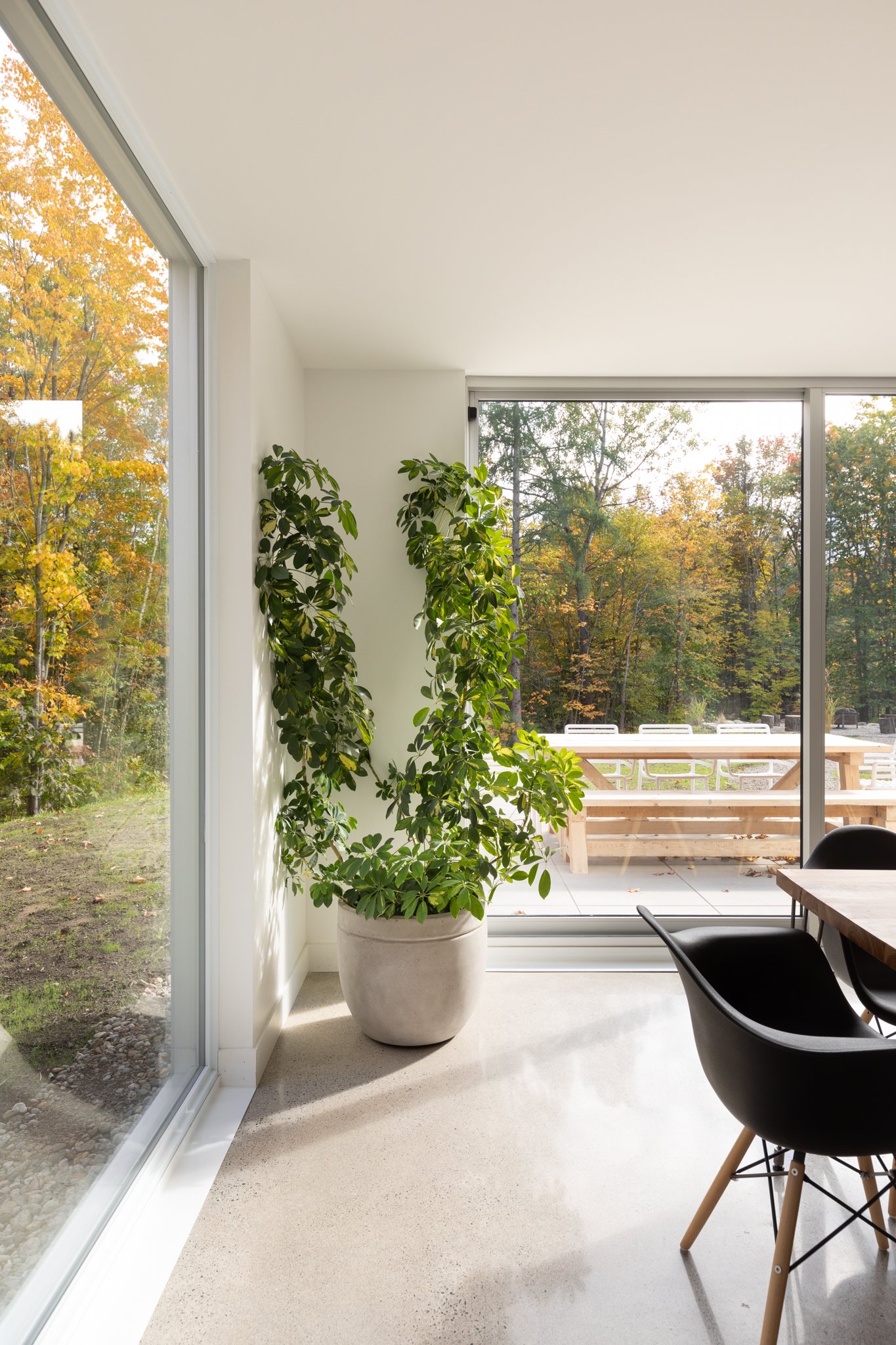 Écohabitations Boréales Inc. - 1376 dagenais - 44.JPG