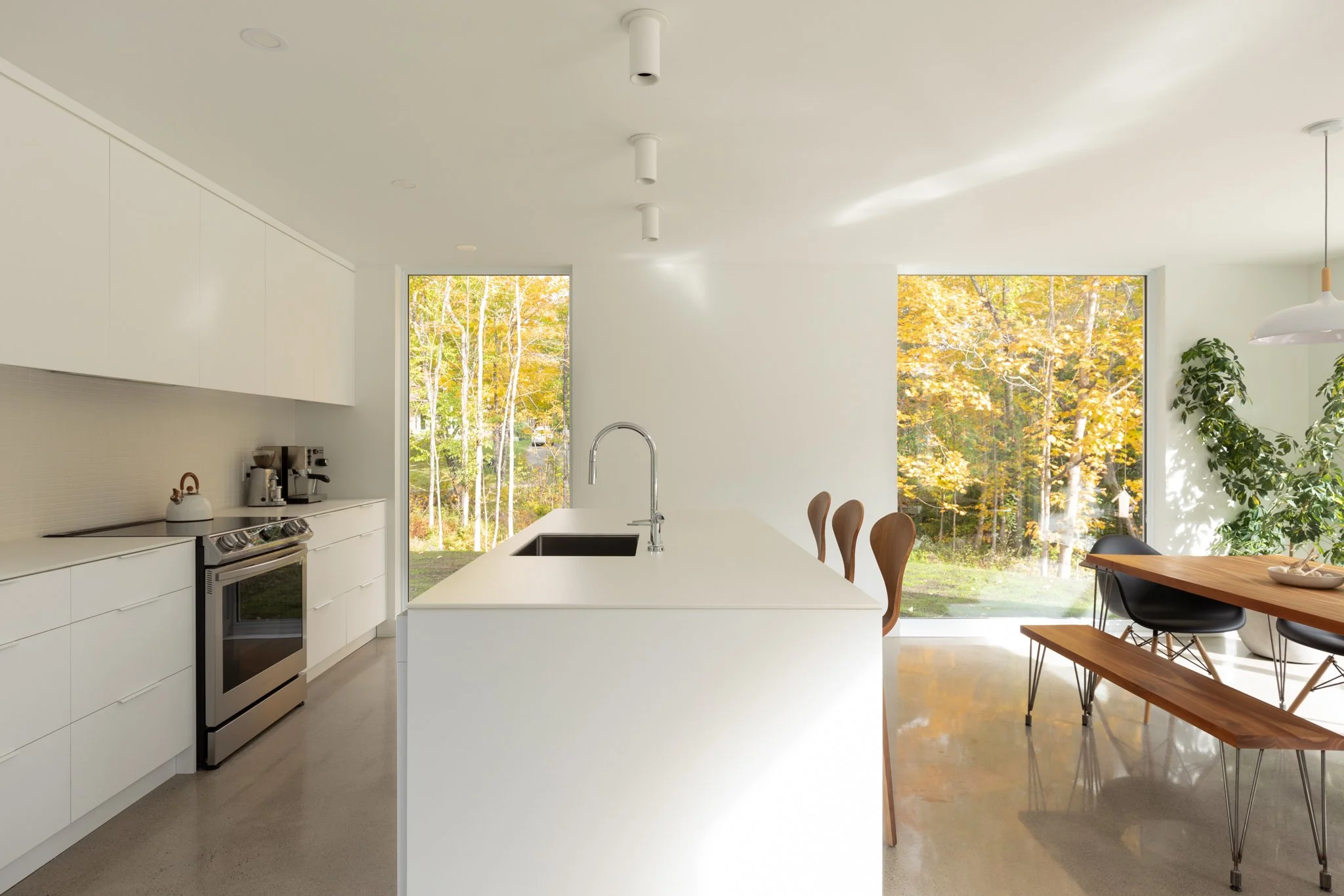 Écohabitations Boréales Inc. - 1376 dagenais - 81.JPG