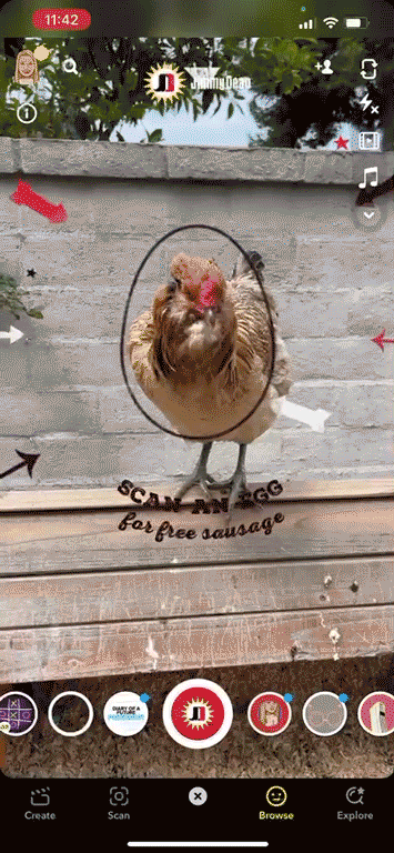 chicken.gif