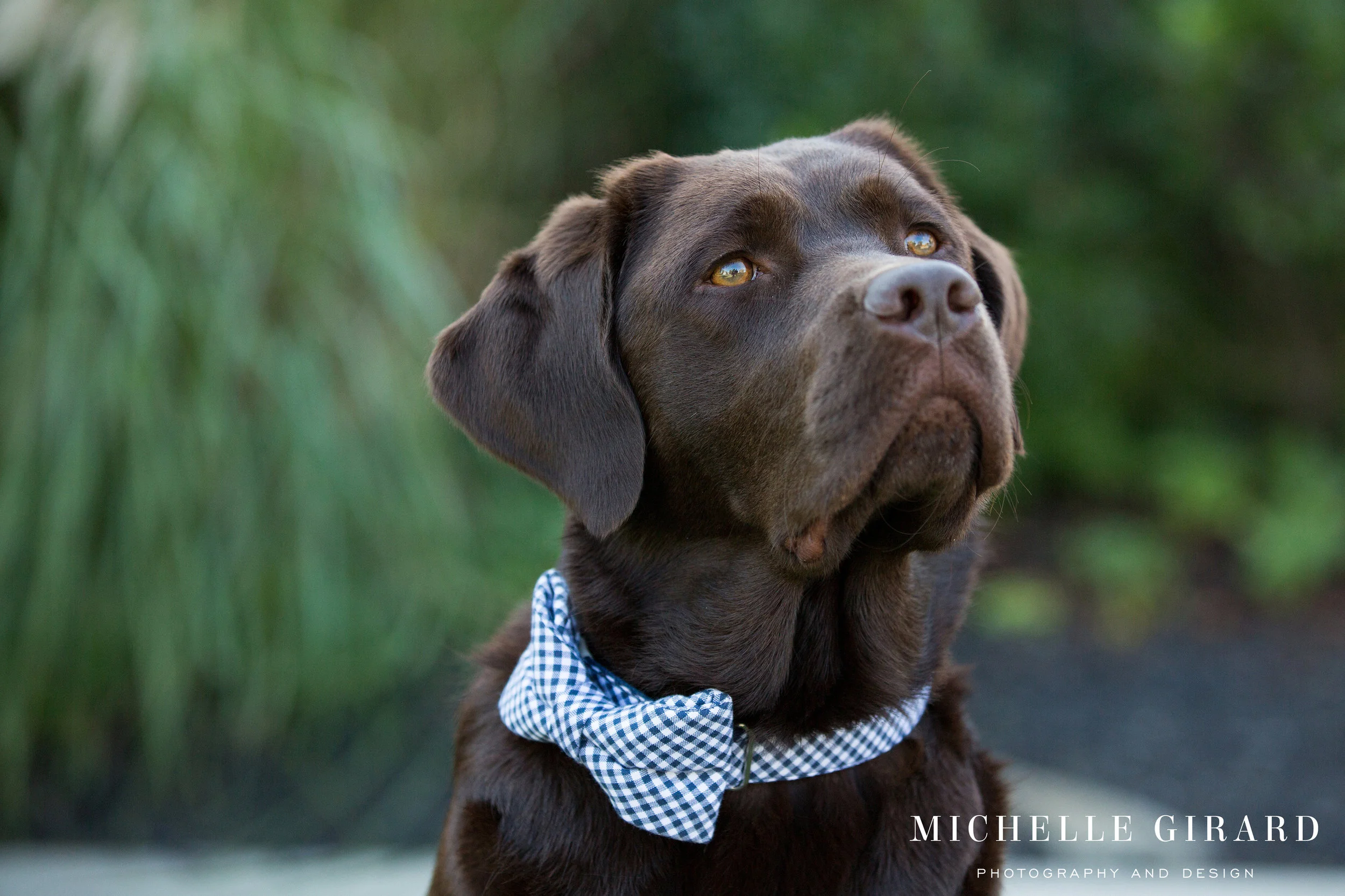 NewEnglandInnWedding_AmherstMassachusetts_MichelleGirardPhotography069-(ZF-3656-57917-1-012).jpg