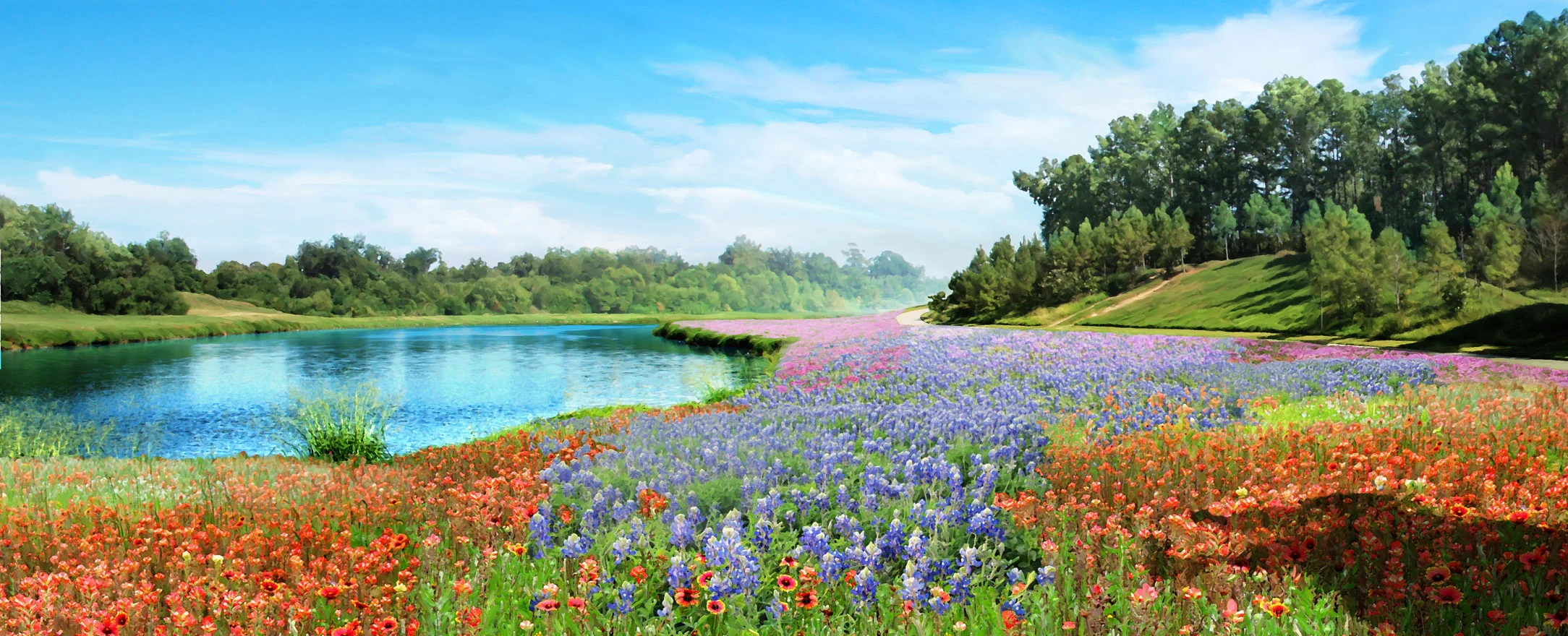 Environmental art illustrates ground stabilizing trait of wild flowers.
