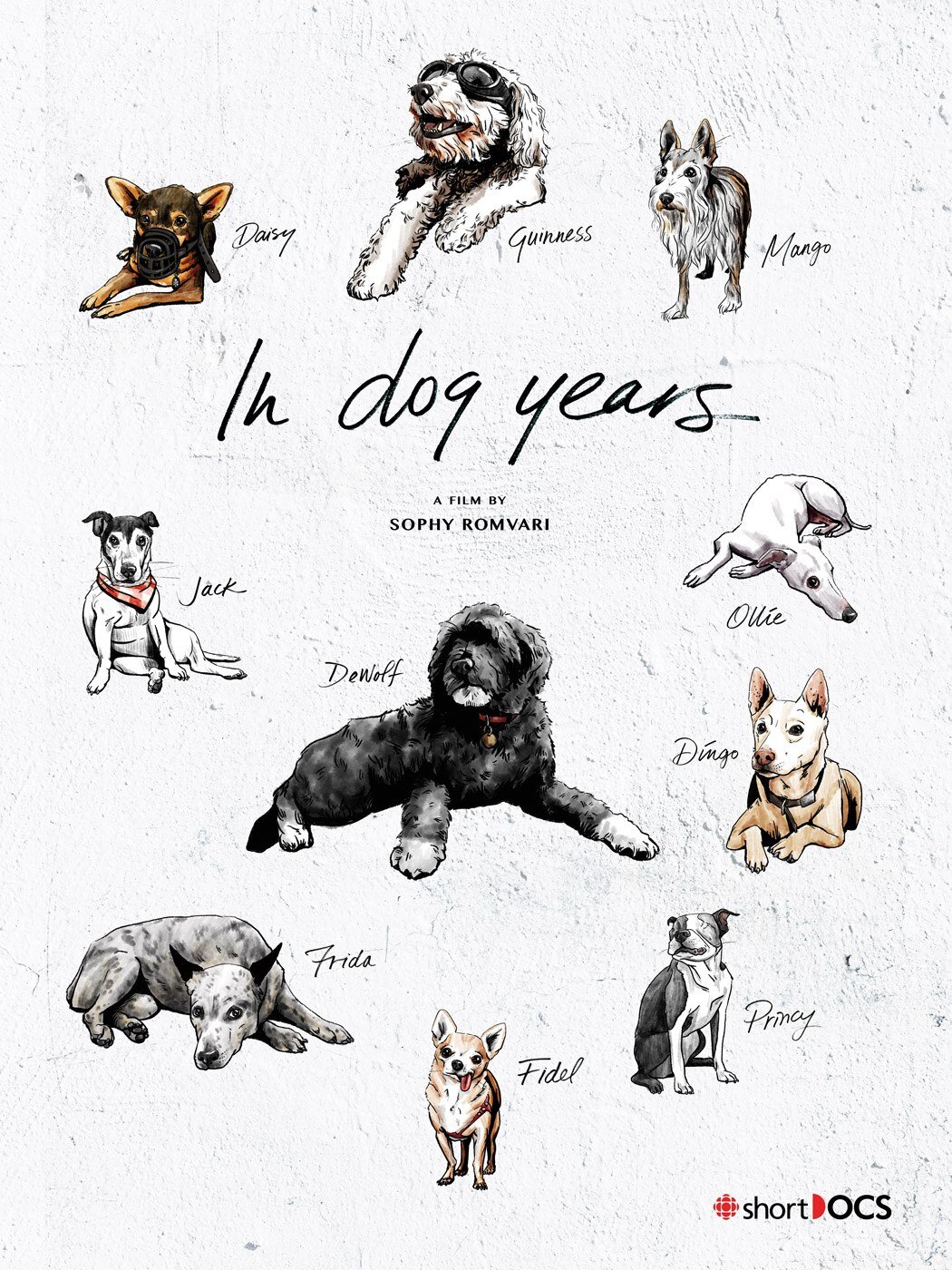 In dog years (2019)