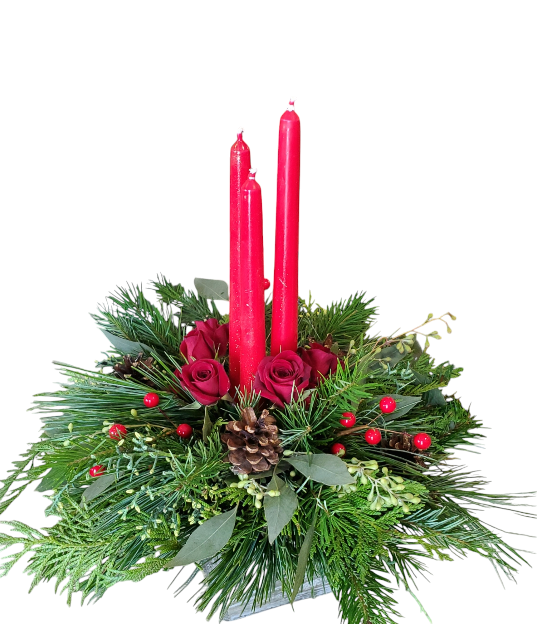 Photoroom-20241213_194641.png