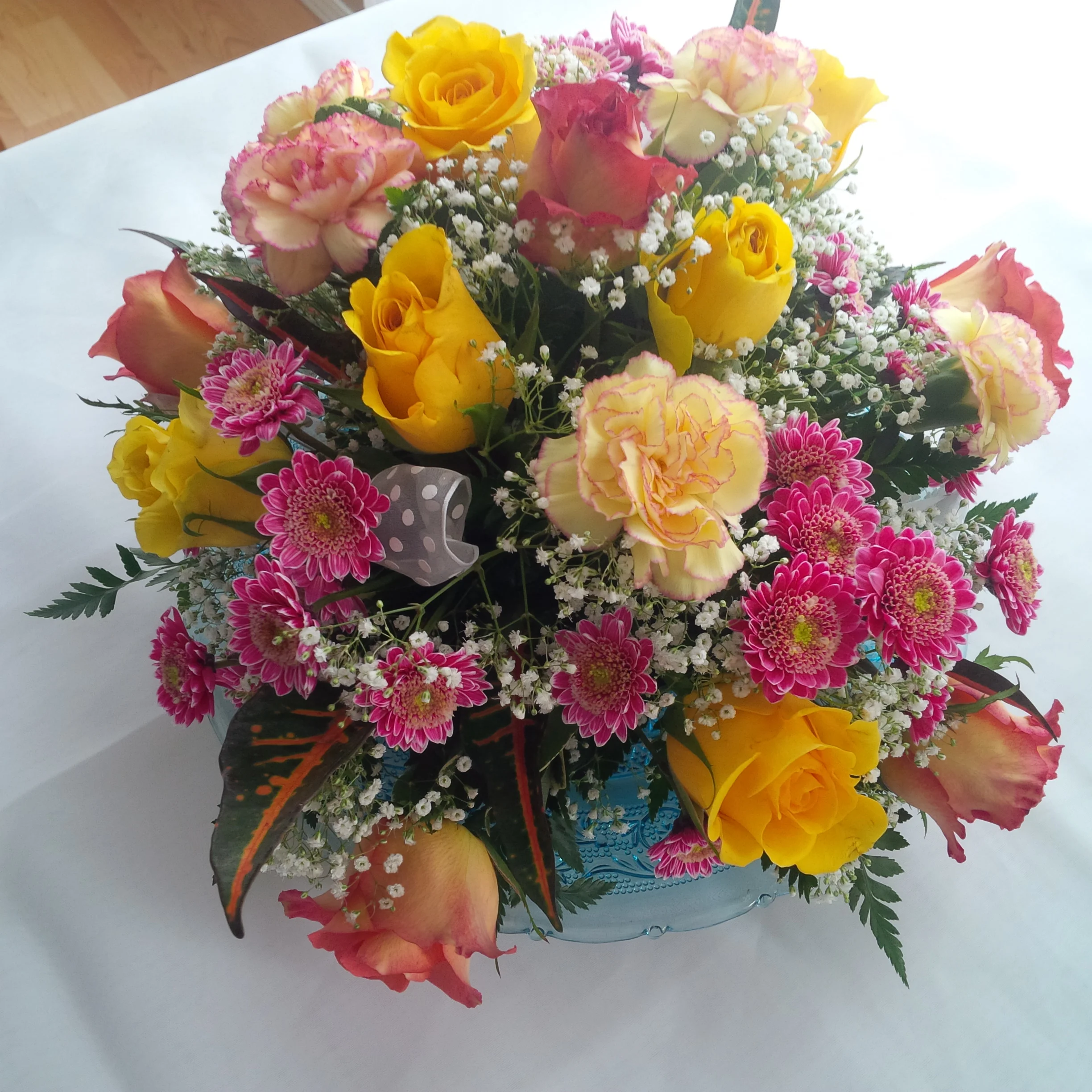 IMG_20150213_110035.jpg