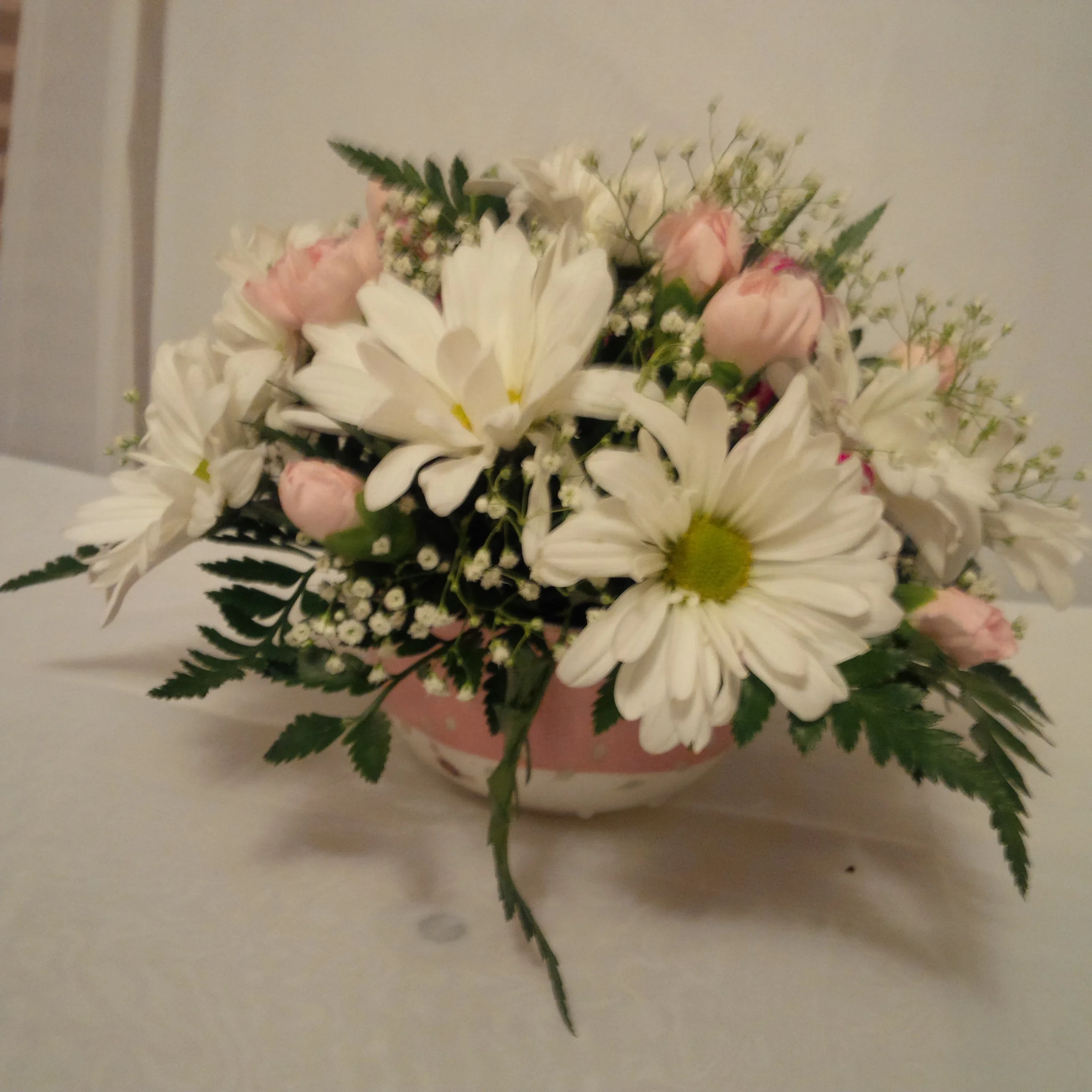 IMG_20150216_183657.jpg