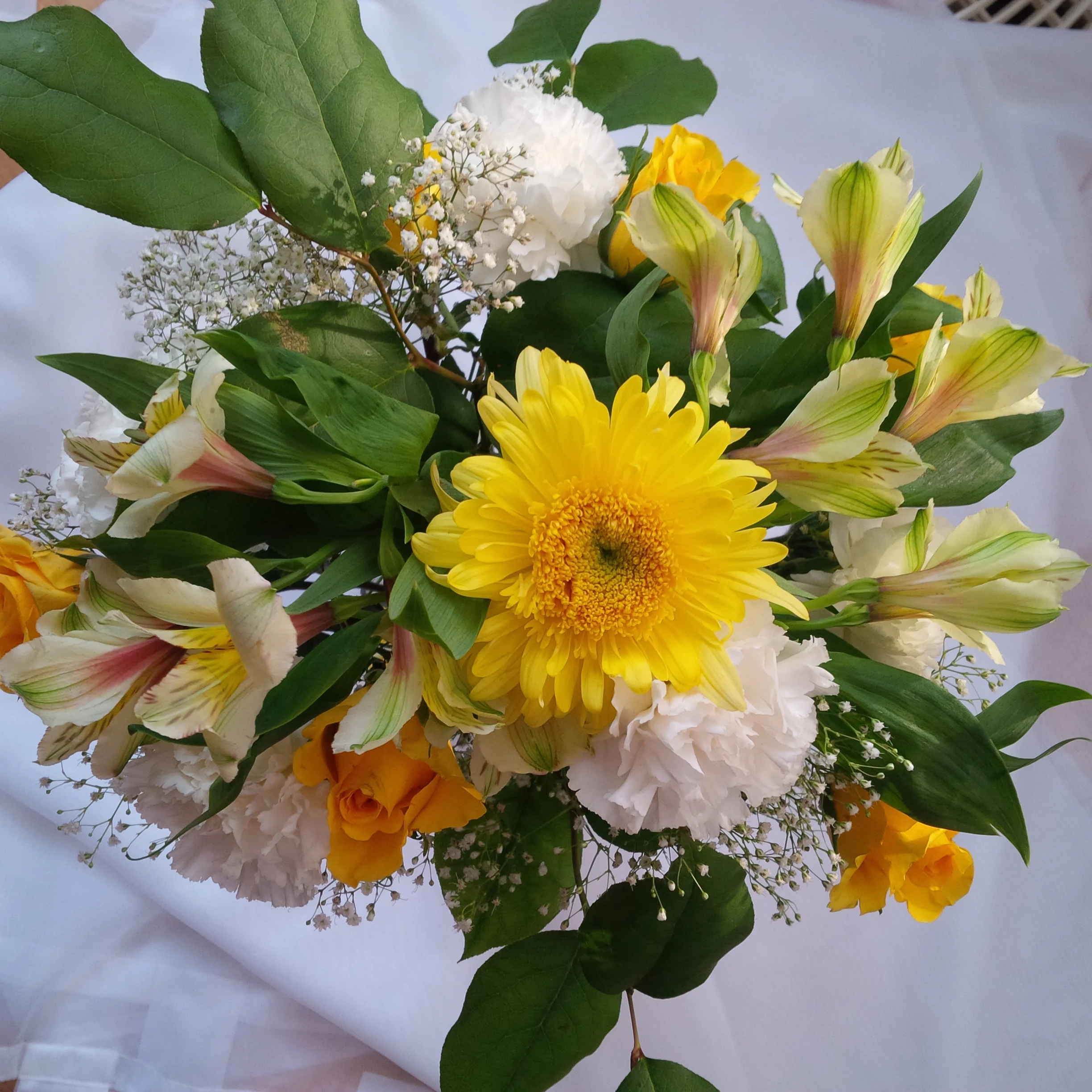 IMG_20150217_091302.jpg