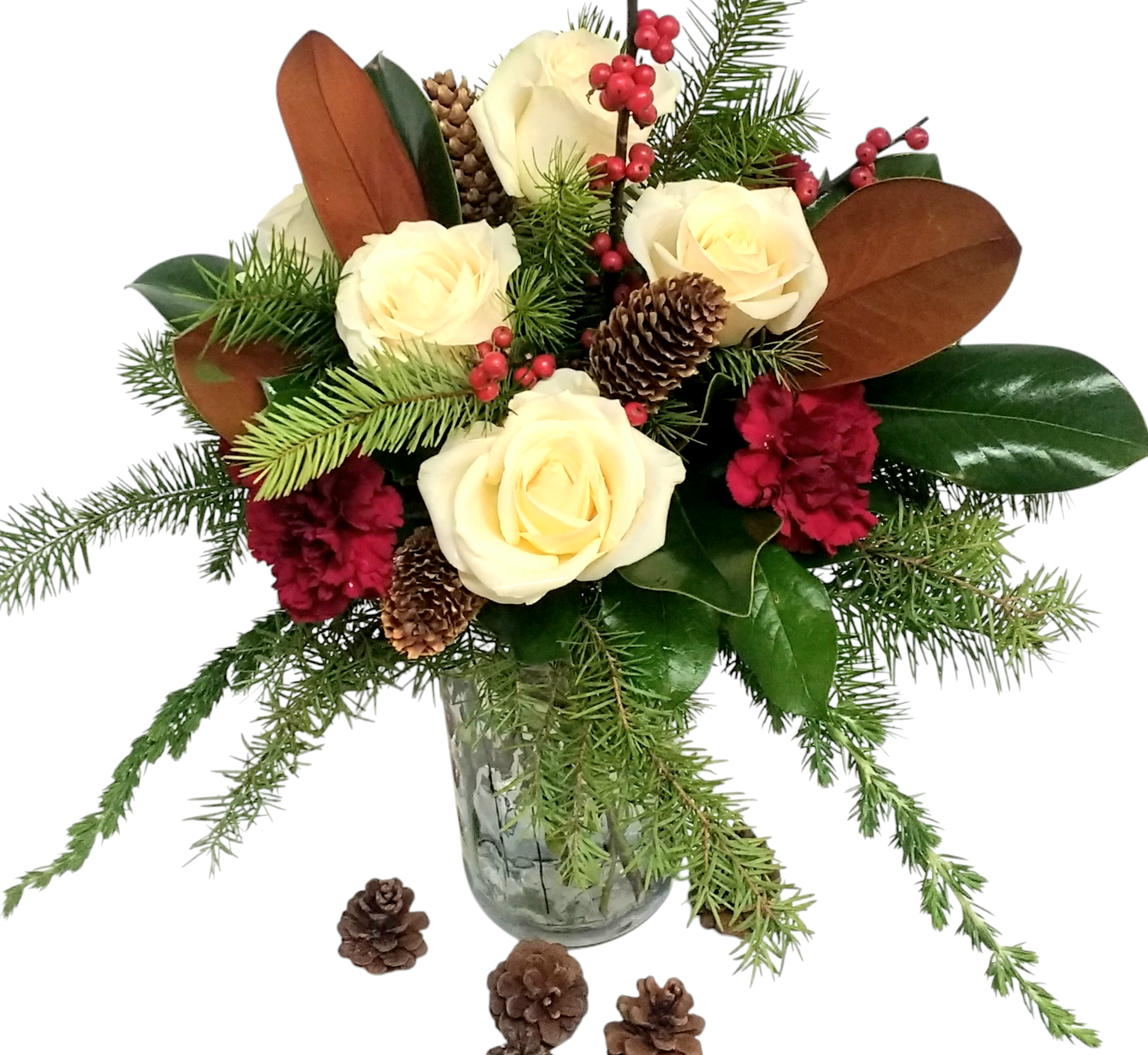 Photoroom-20241207_141500.png
