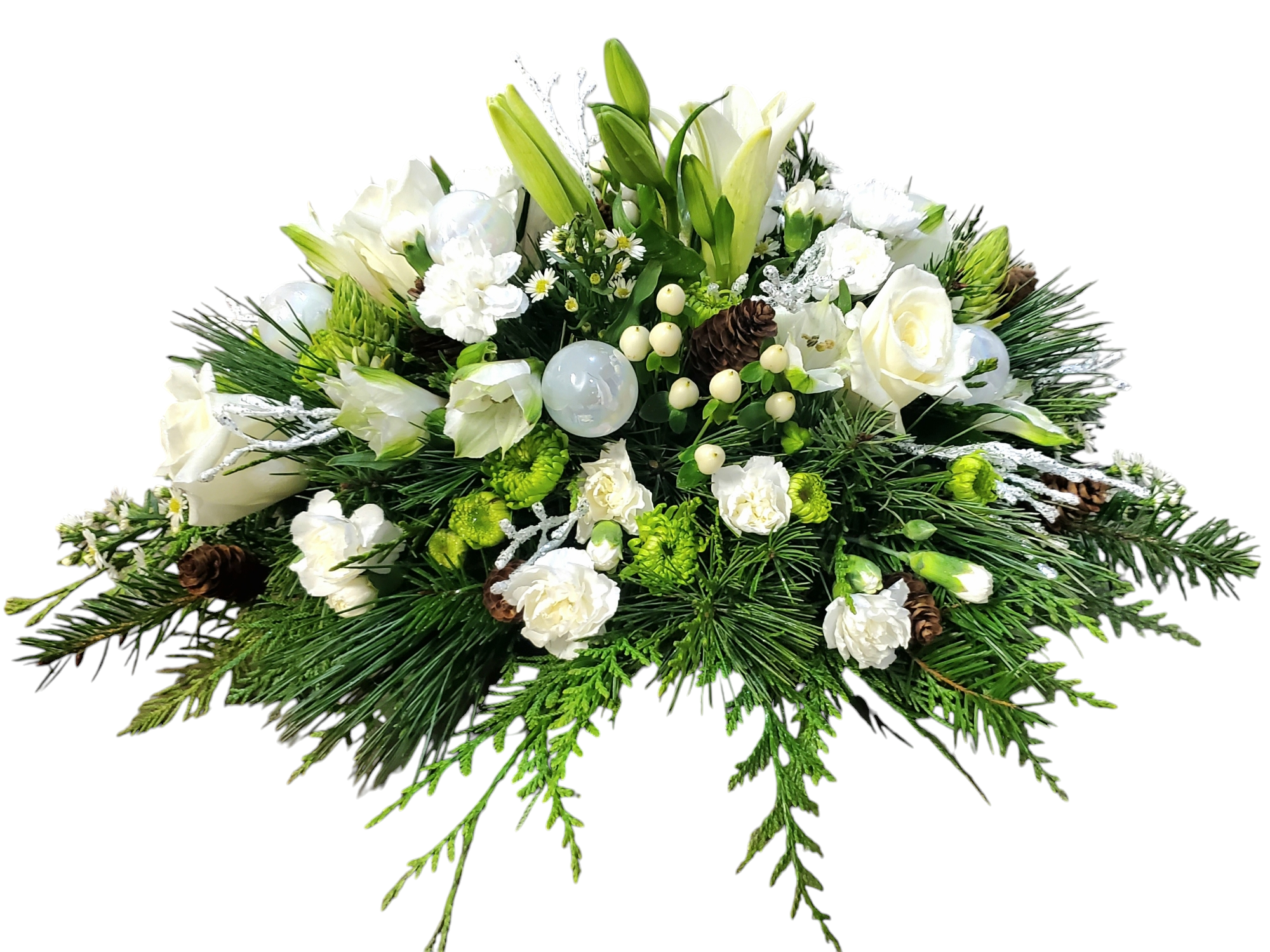 Photoroom-20241218_093111.png