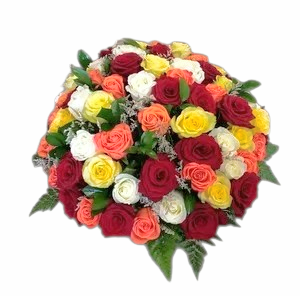 IMG_20210121_142051992~2 (1).png