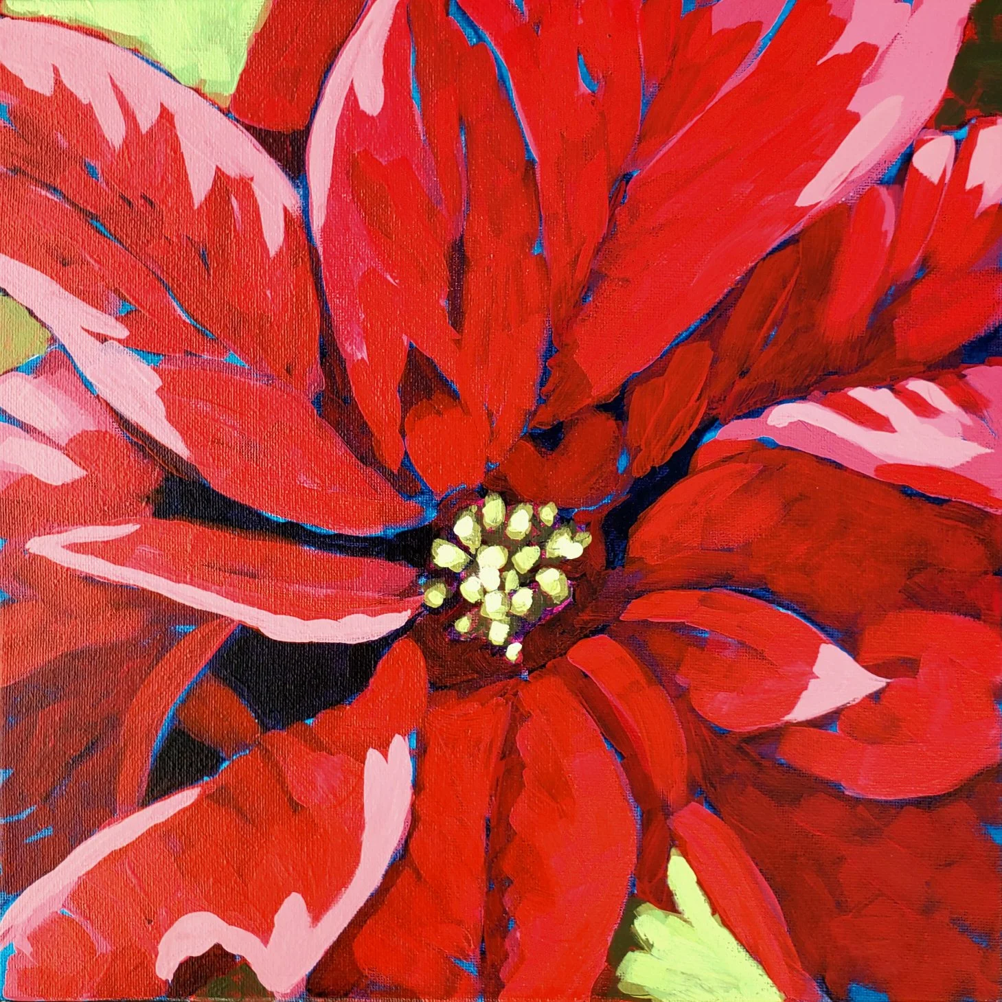 Pionsettia do druku.jpg