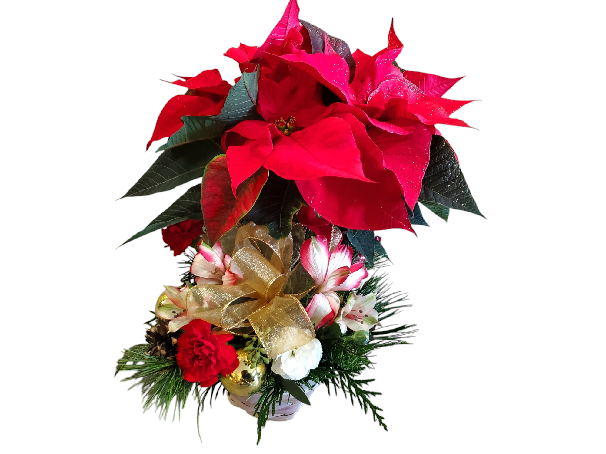 Photoroom-20241218_093001.png