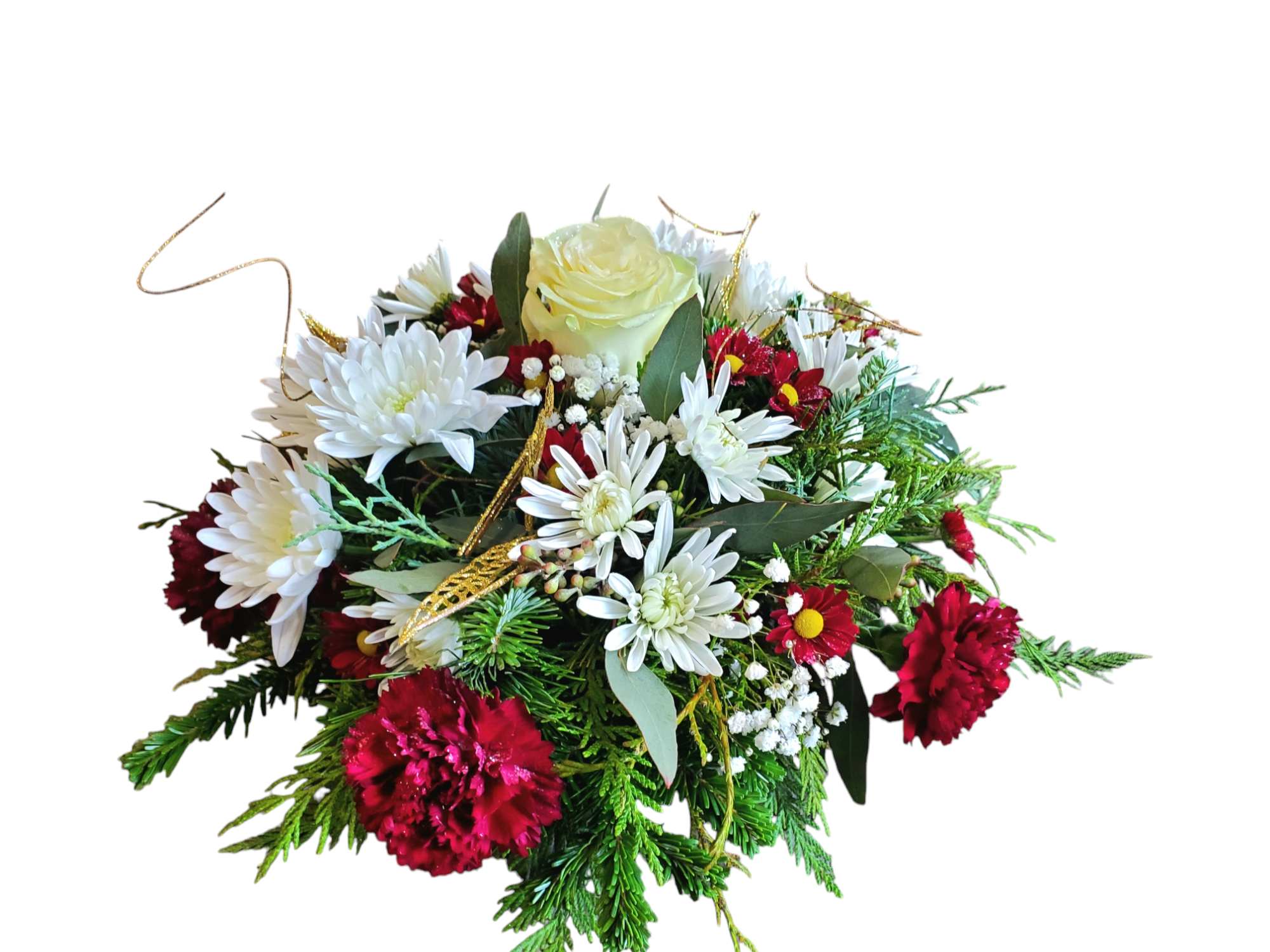 Photoroom-20241218_105643.png