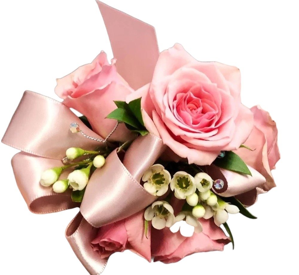 grad pink 1.jpg