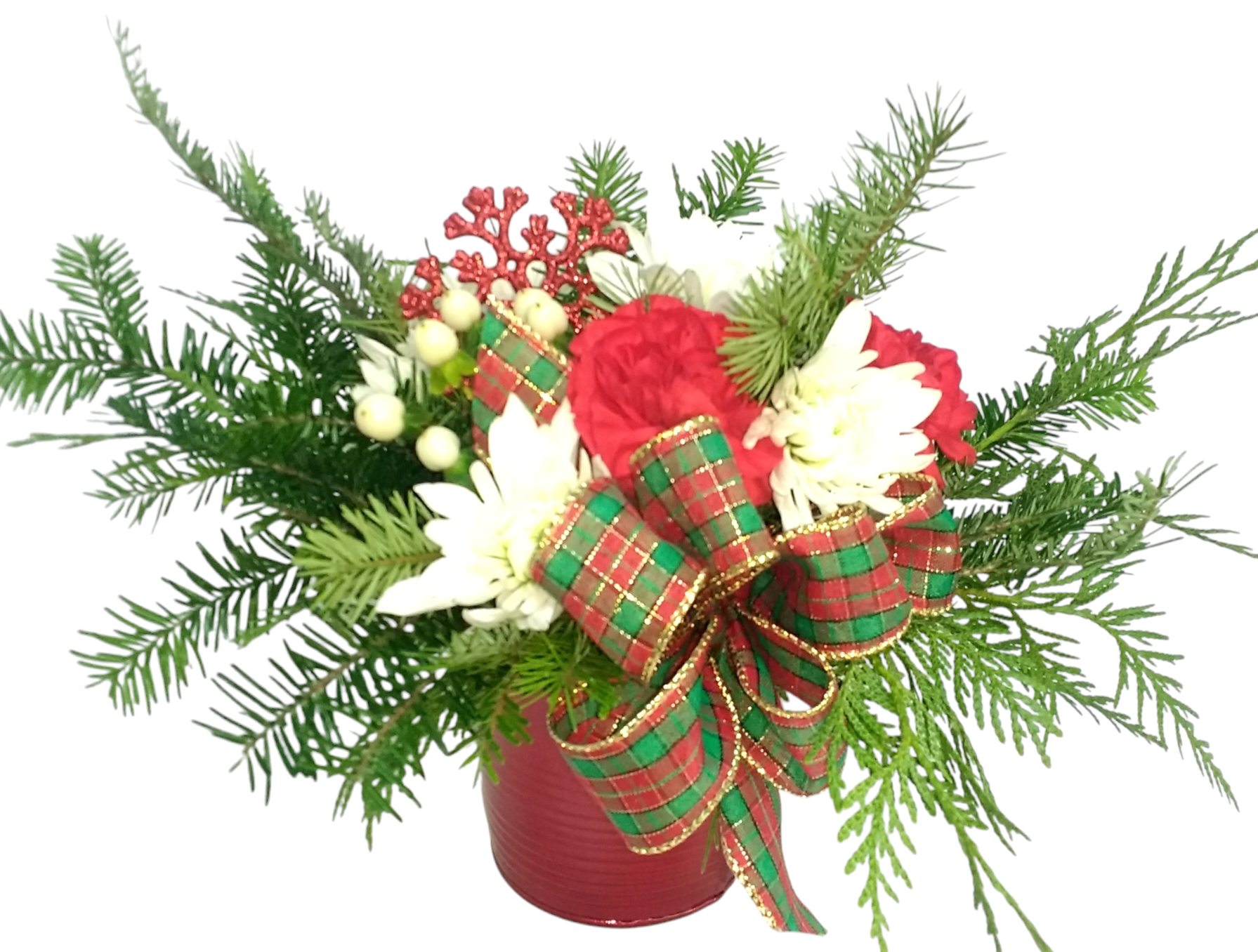 Photoroom-20241207_141438.png