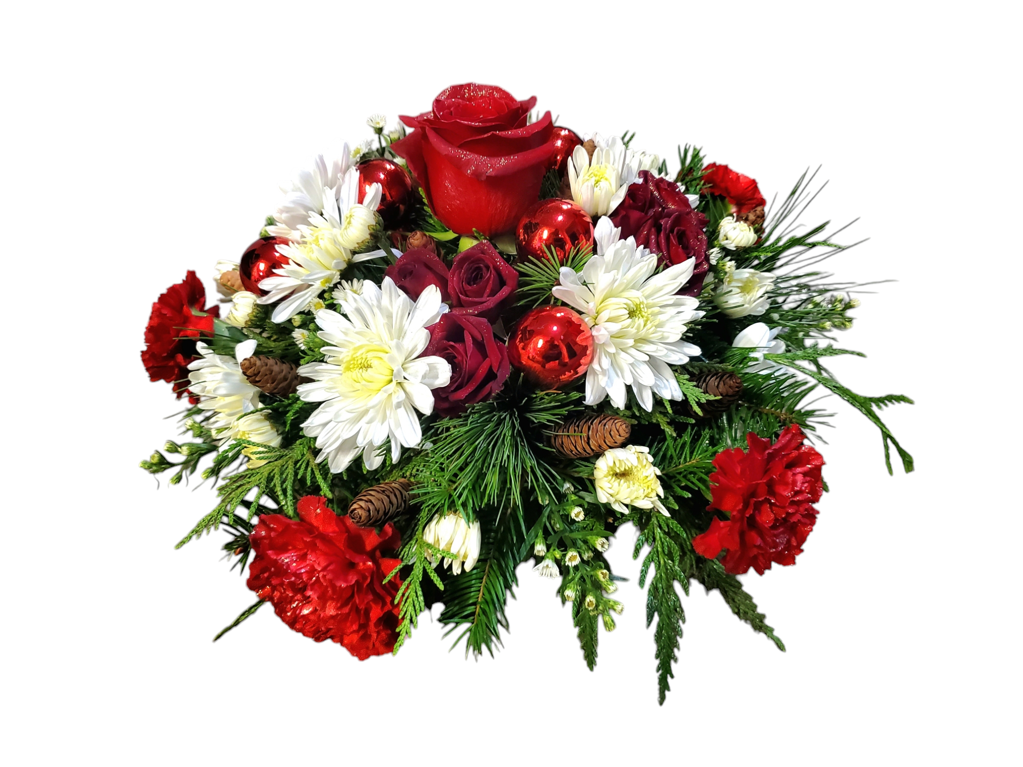 Photoroom-20241218_093344.png