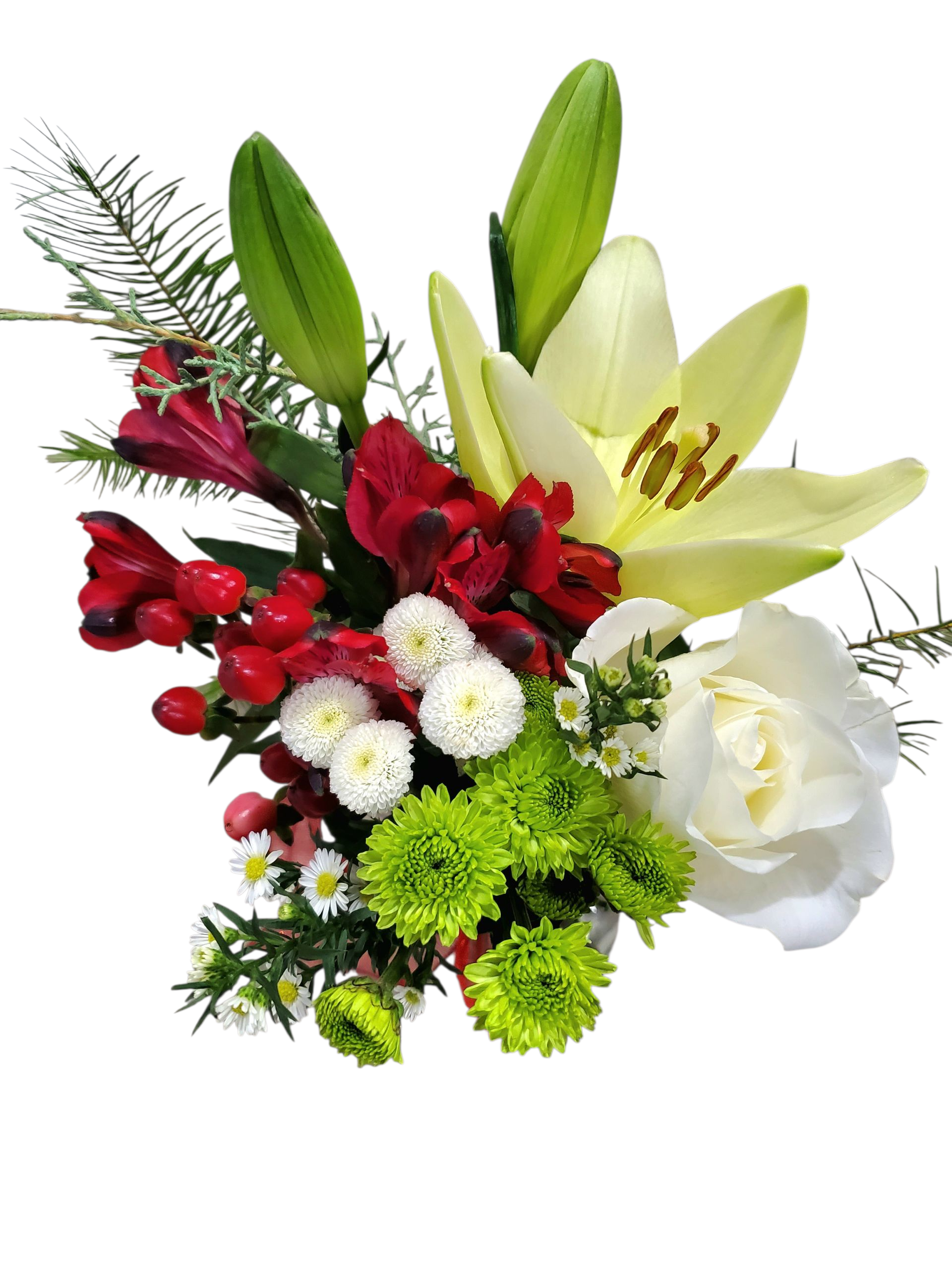 20251219_150300 (1).png