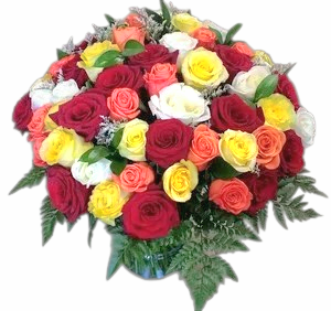 IMG_20210121_141853827~2 (1).png