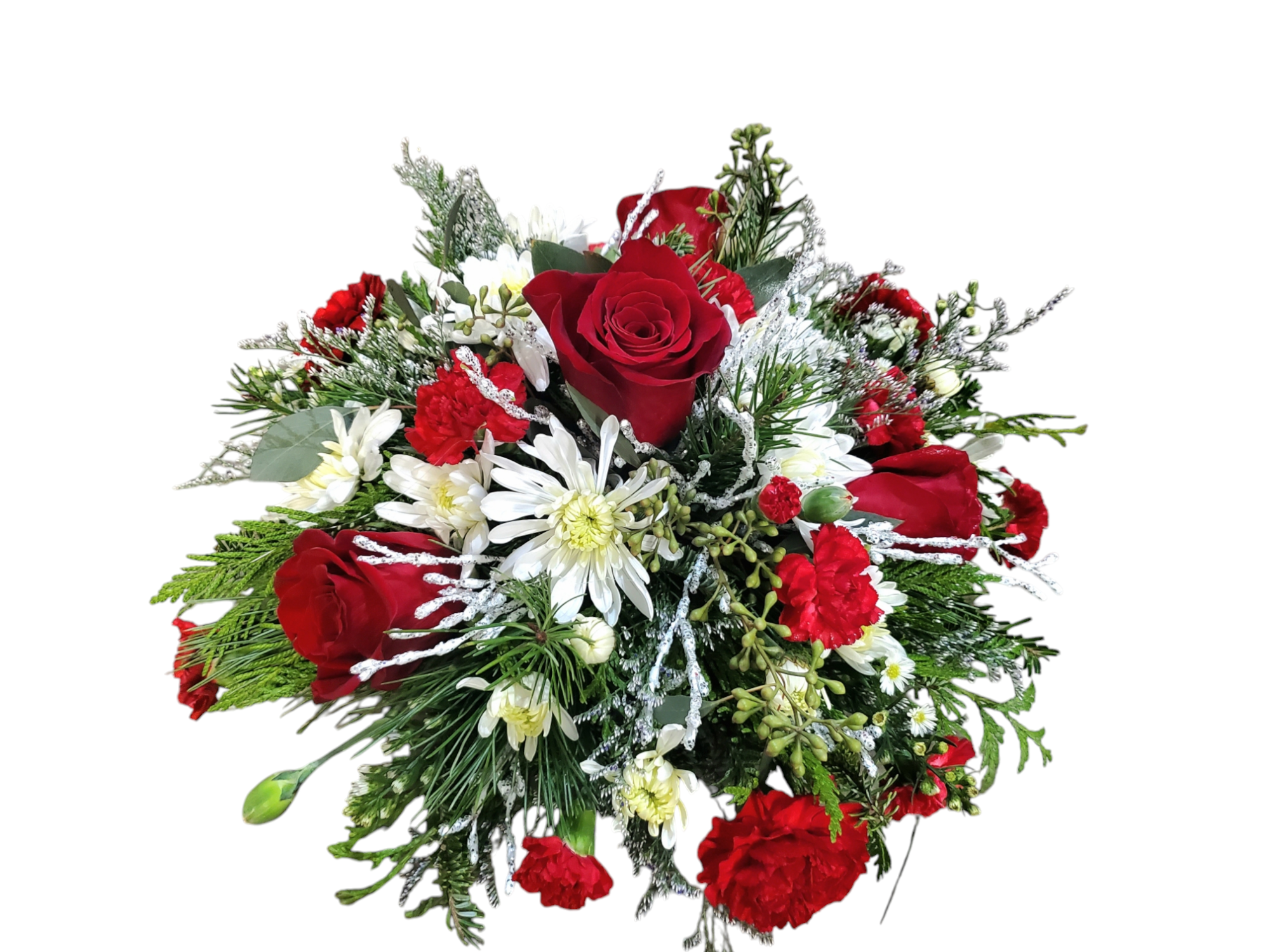 Photoroom-20241218_093954 (1).png