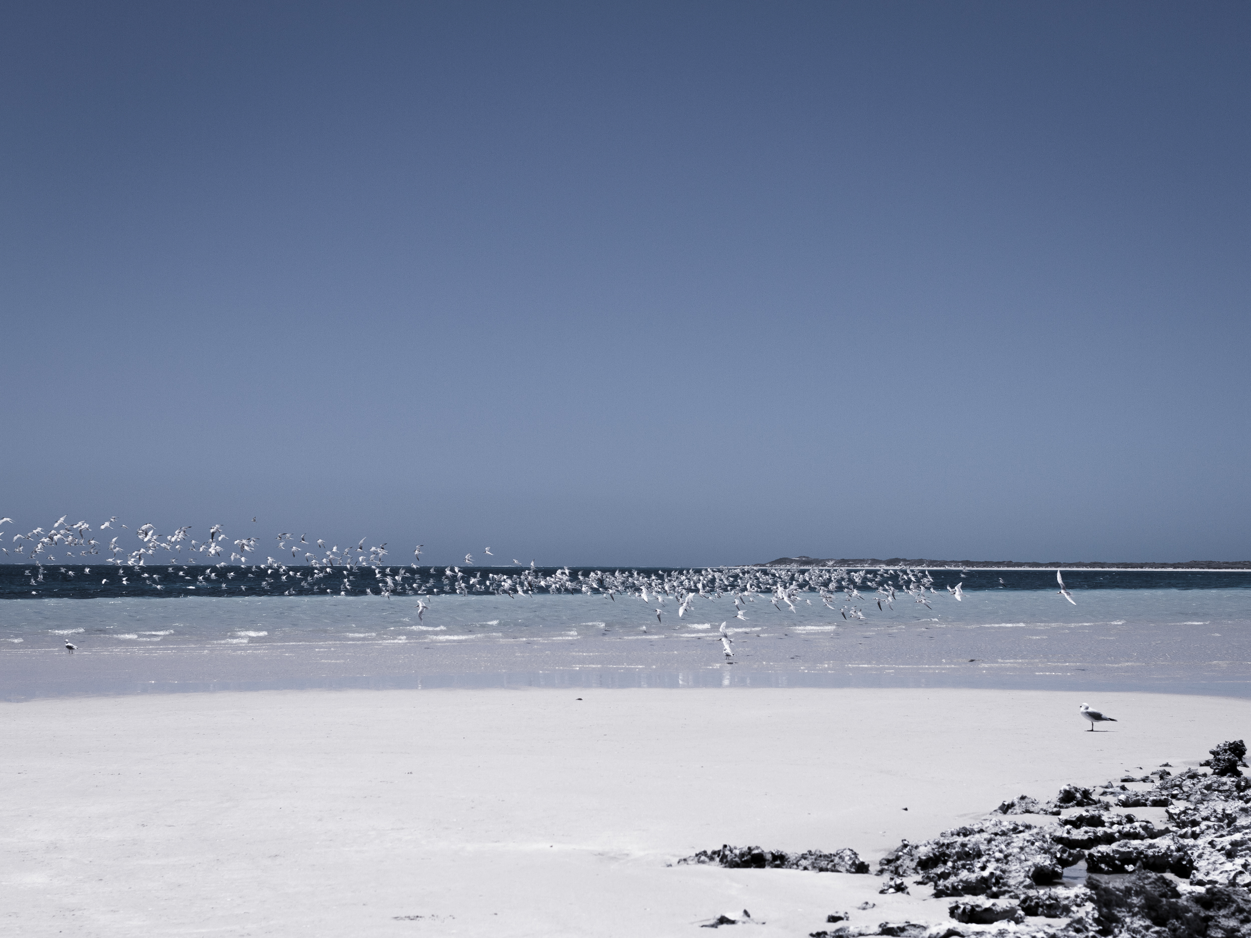 35 mm-20151212-131239-Exmouth Tag 5-3.jpg