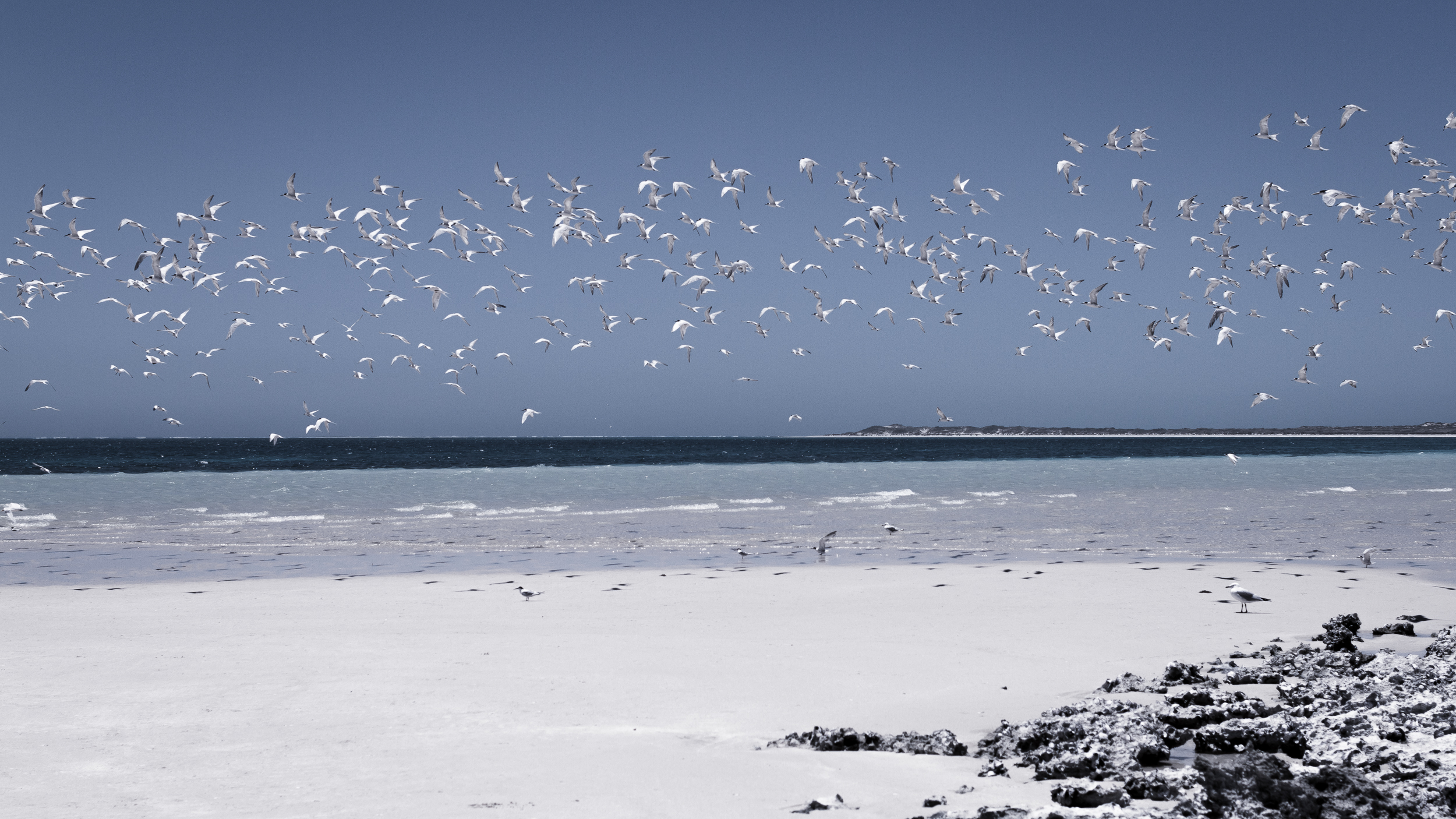35 mm-20151212-130855-Exmouth Tag 5-2.jpg