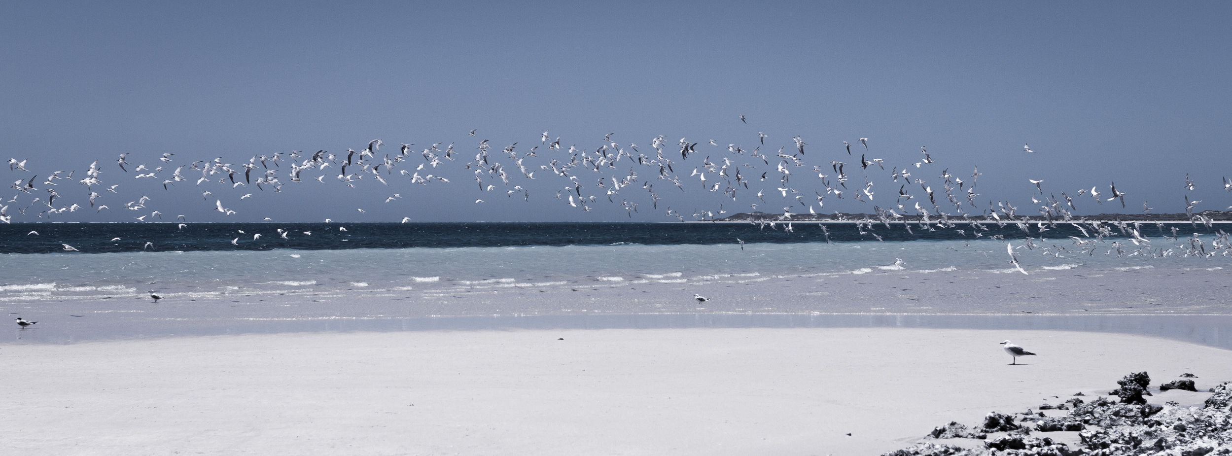 35 mm-20151212-131234-Exmouth Tag 5.jpg
