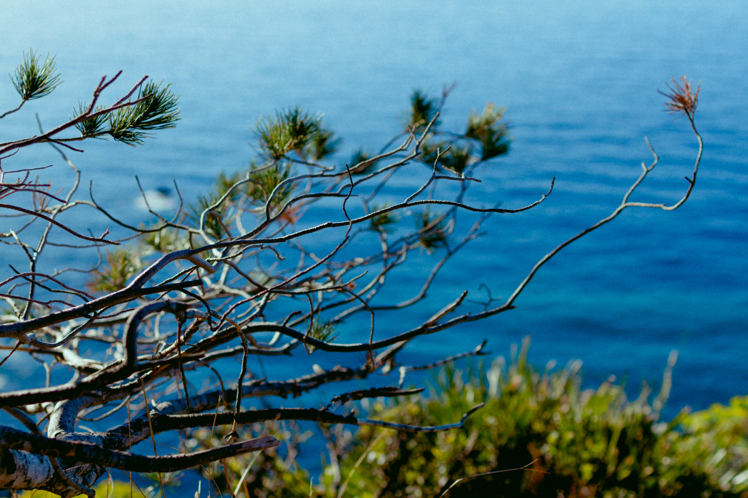 35 mm-20170403-033222- Mallorca 2017.jpg