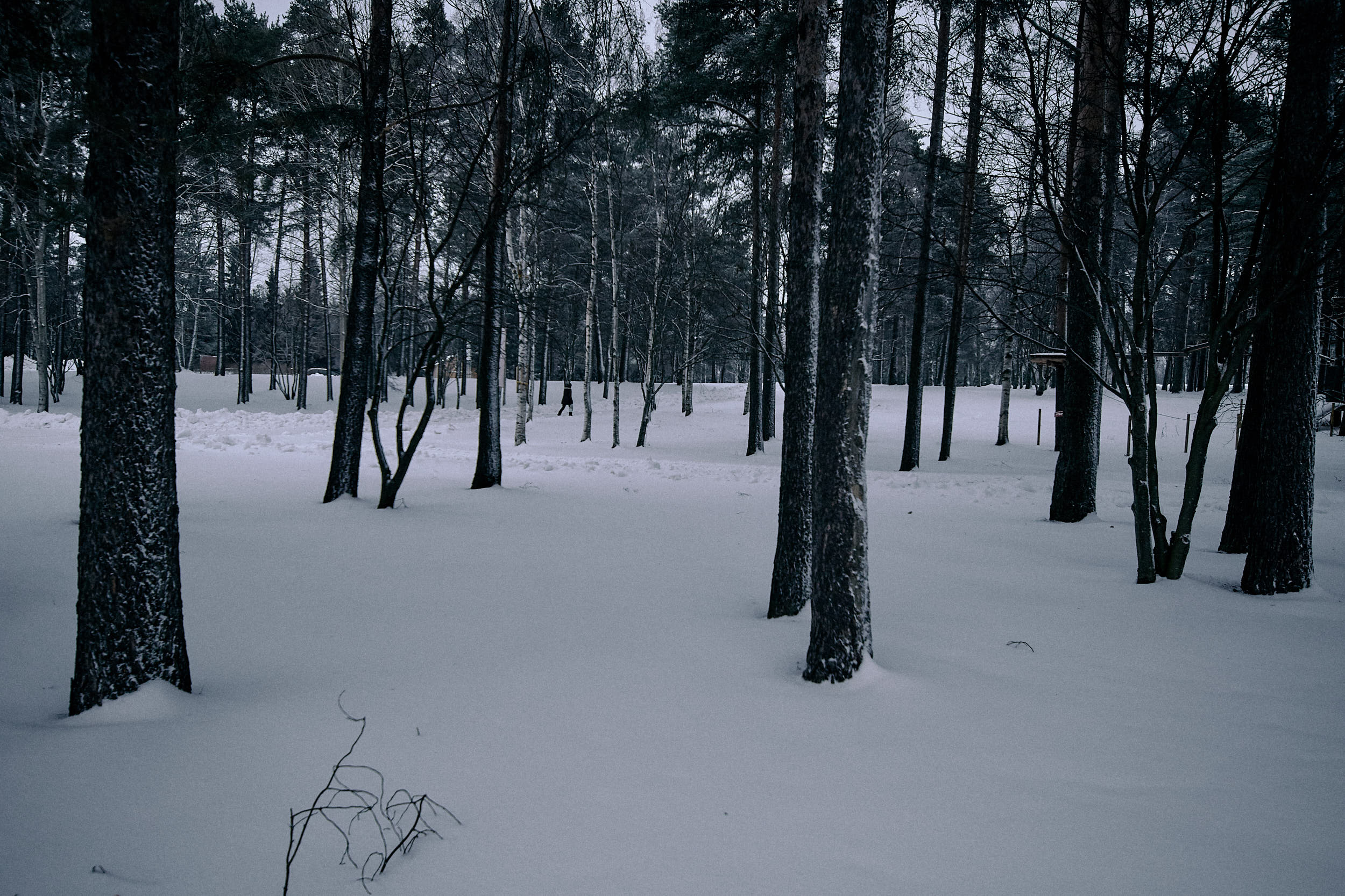 15 mm - 2019-01-05 14.00.49 - Oulu City_1.jpg