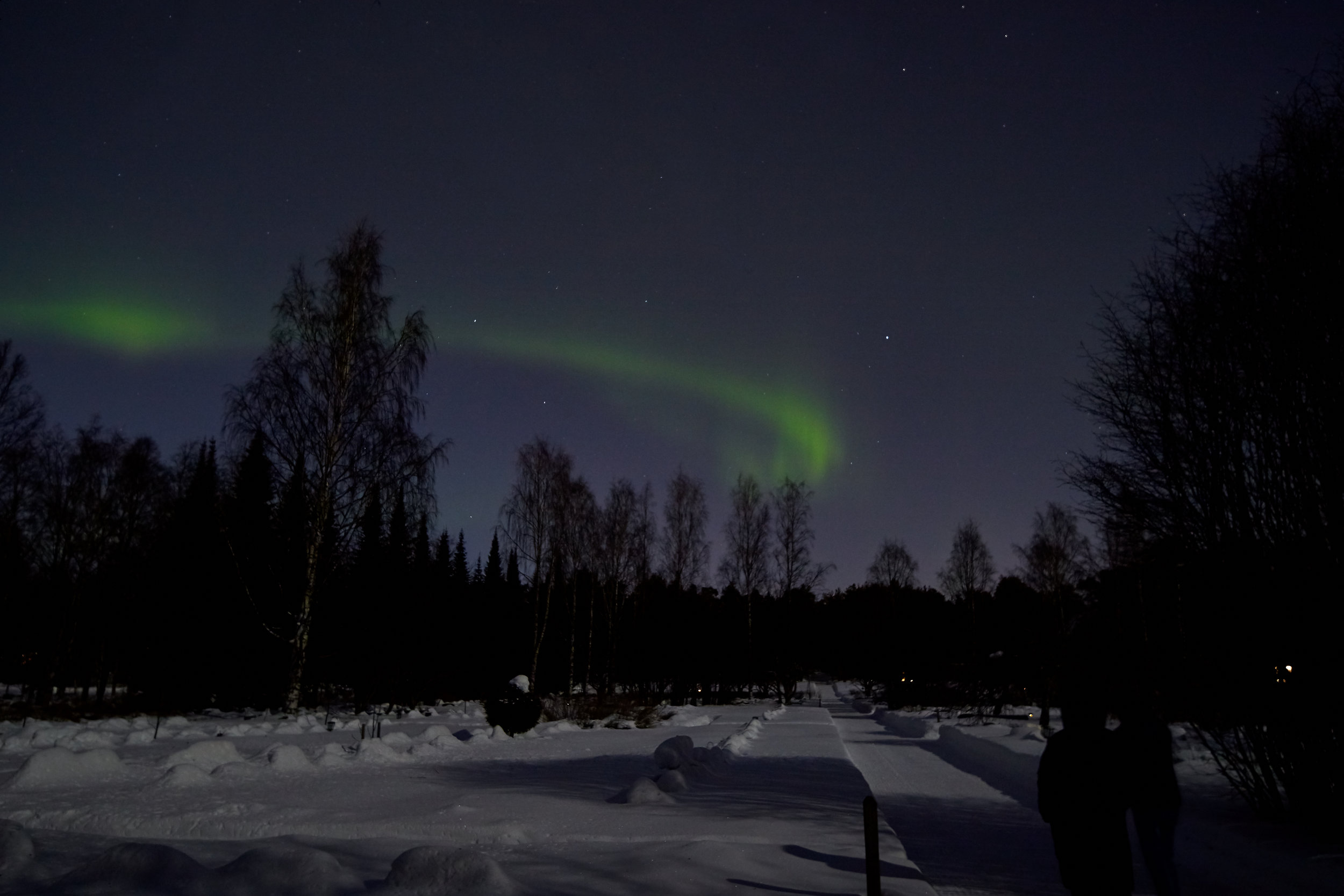 15 mm - 2019-02-20 23.55.44 - Polarlichter Oulu.jpg