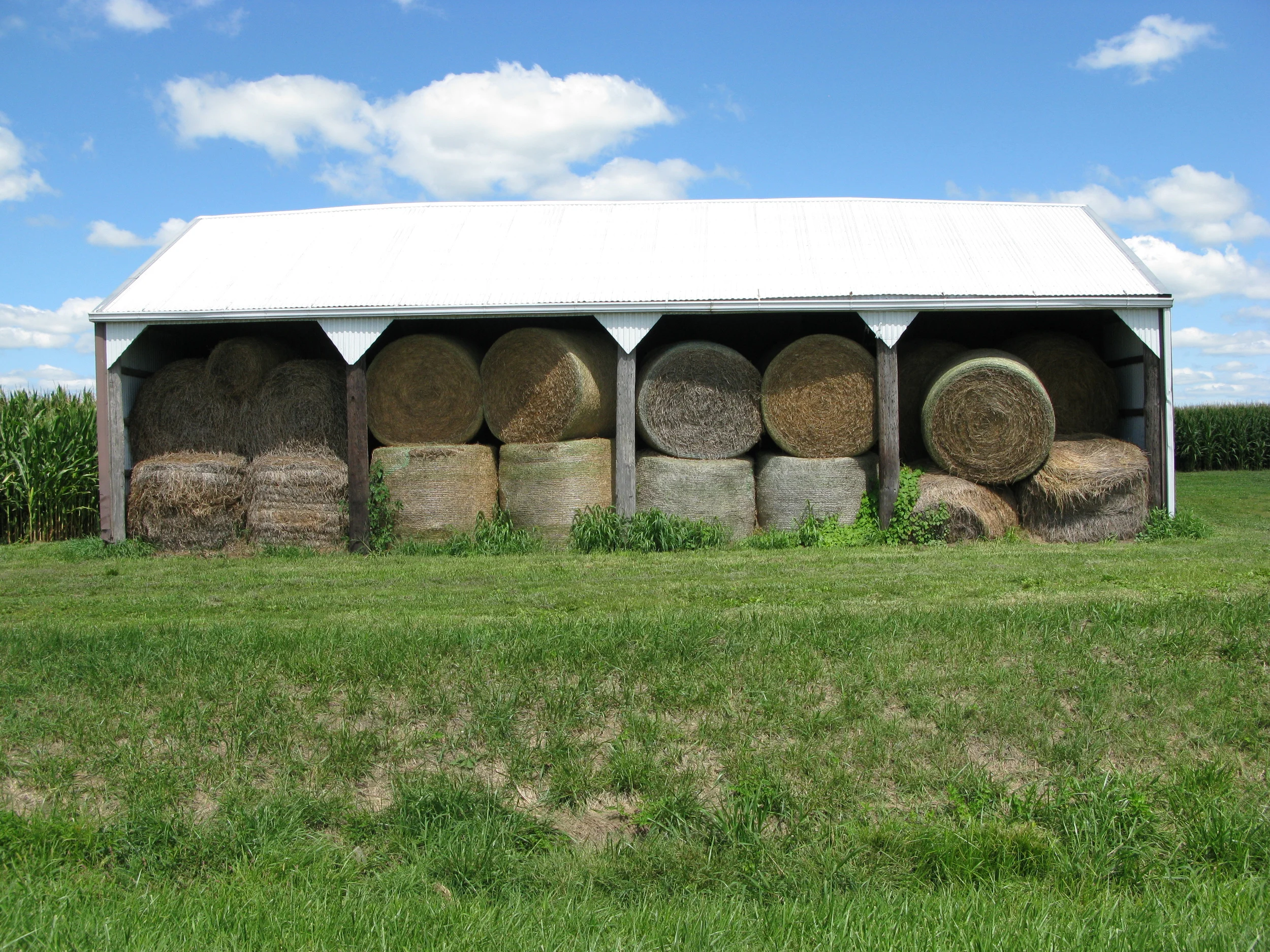Rolls in the Hay.JPG
